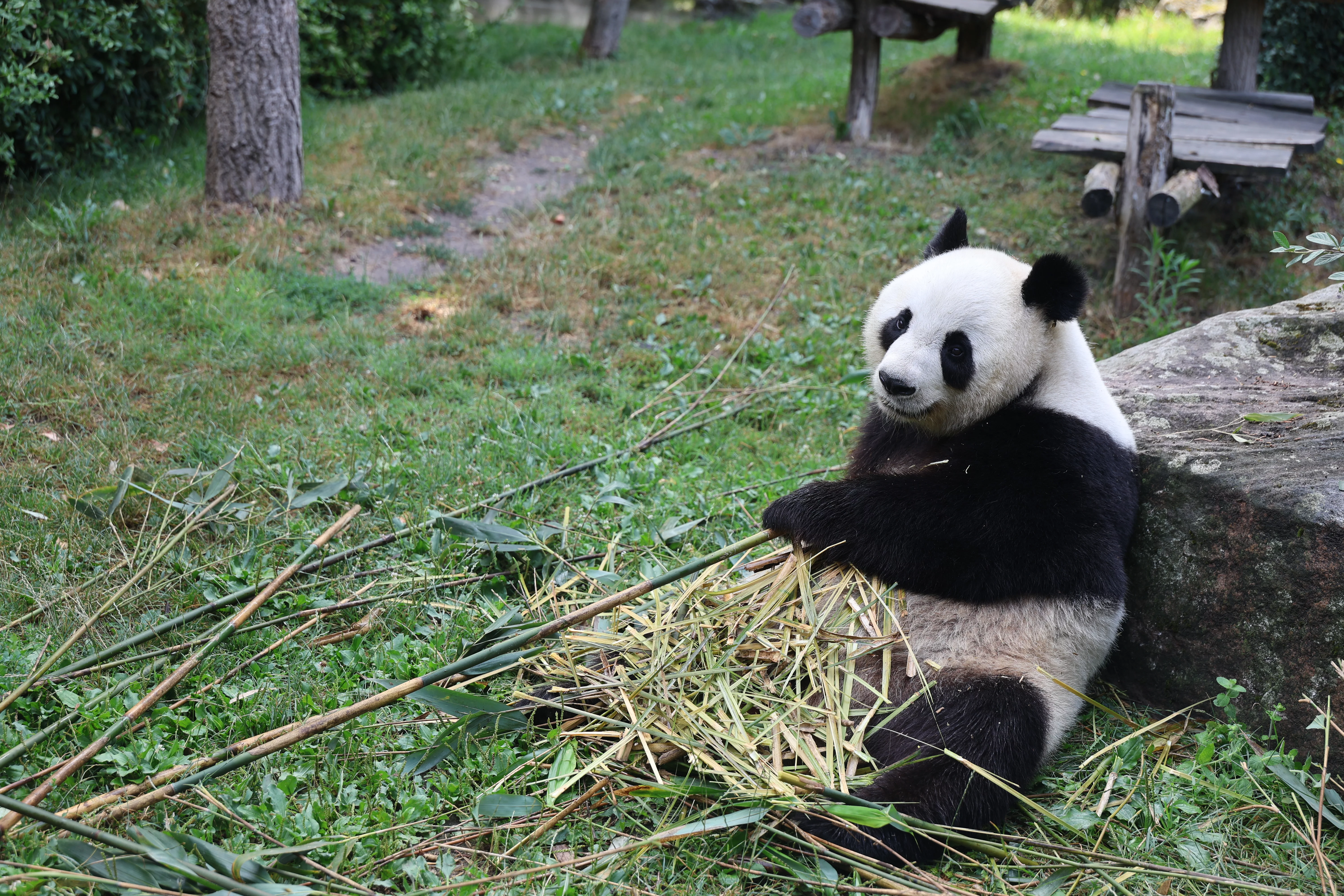 ZooParc de Beauval