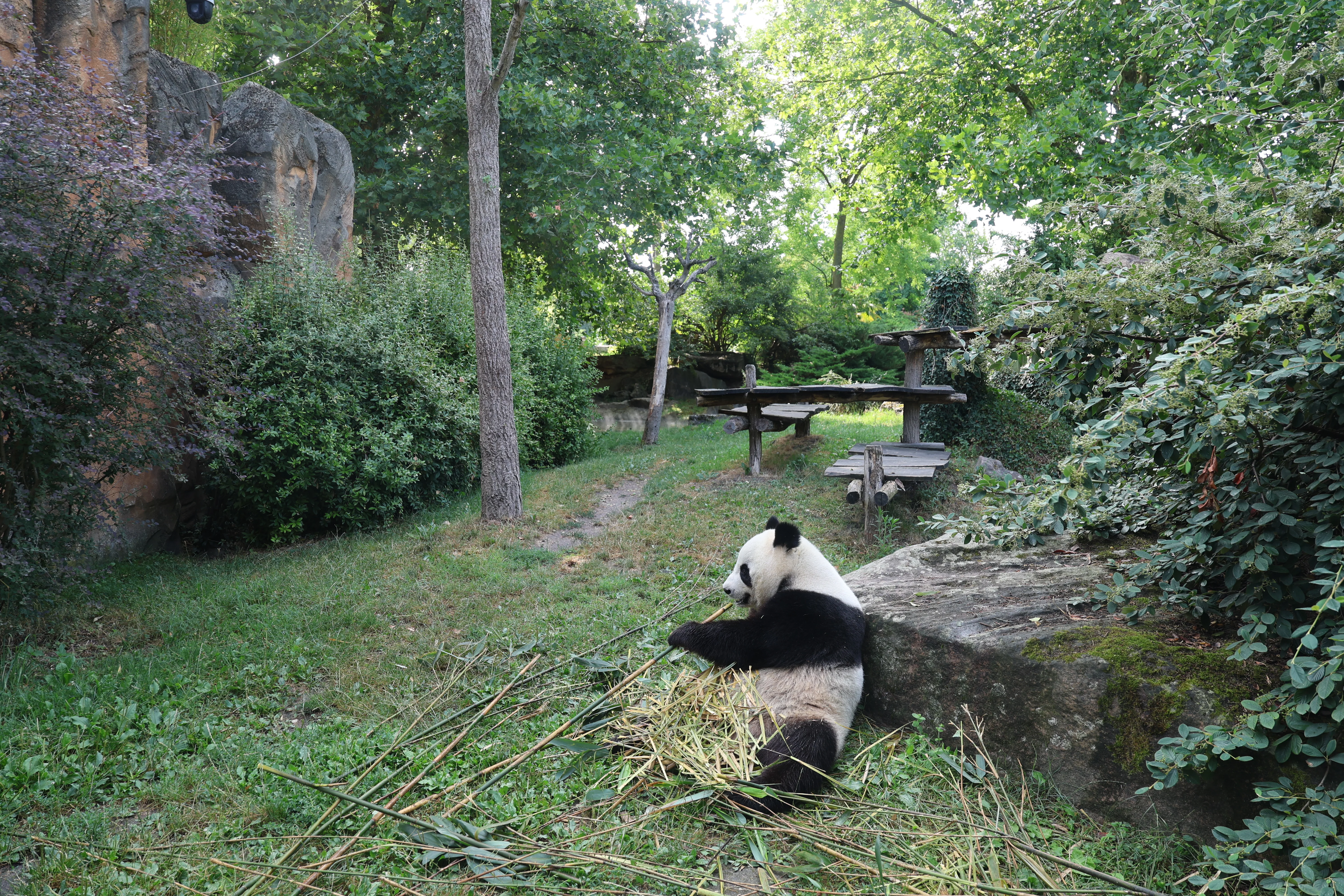 ZooParc de Beauval