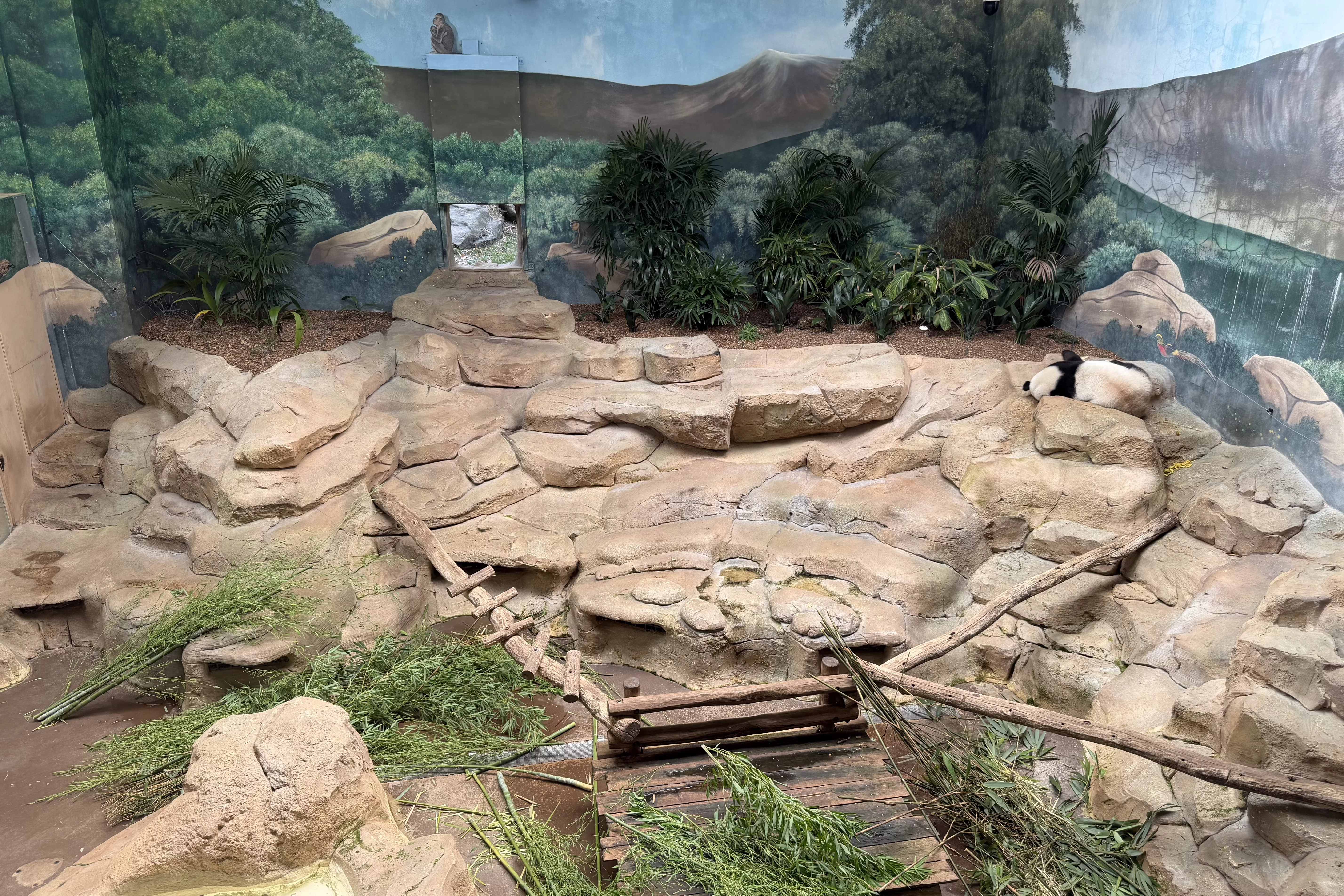 ZooParc de Beauval
