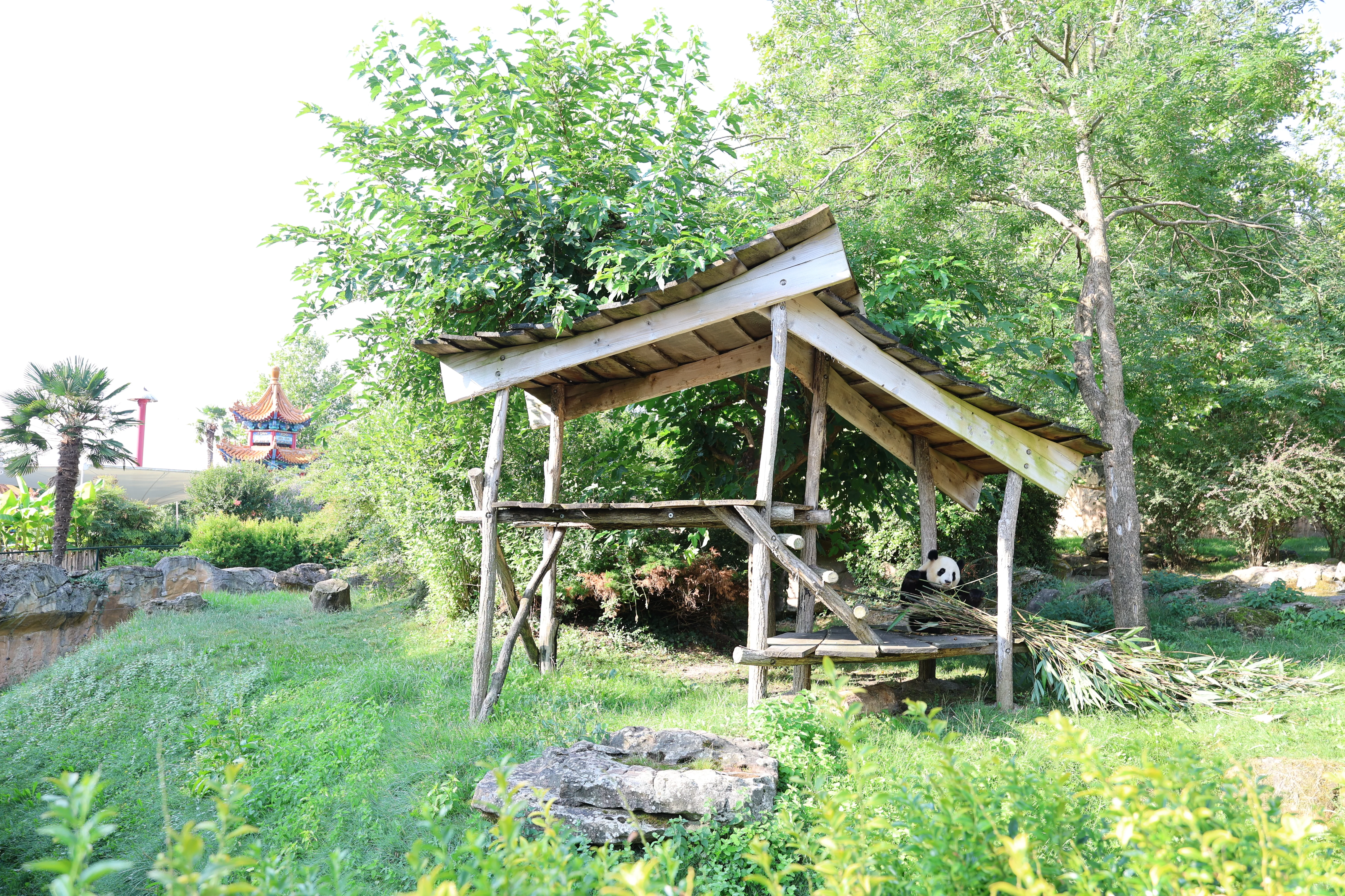 ZooParc de Beauval