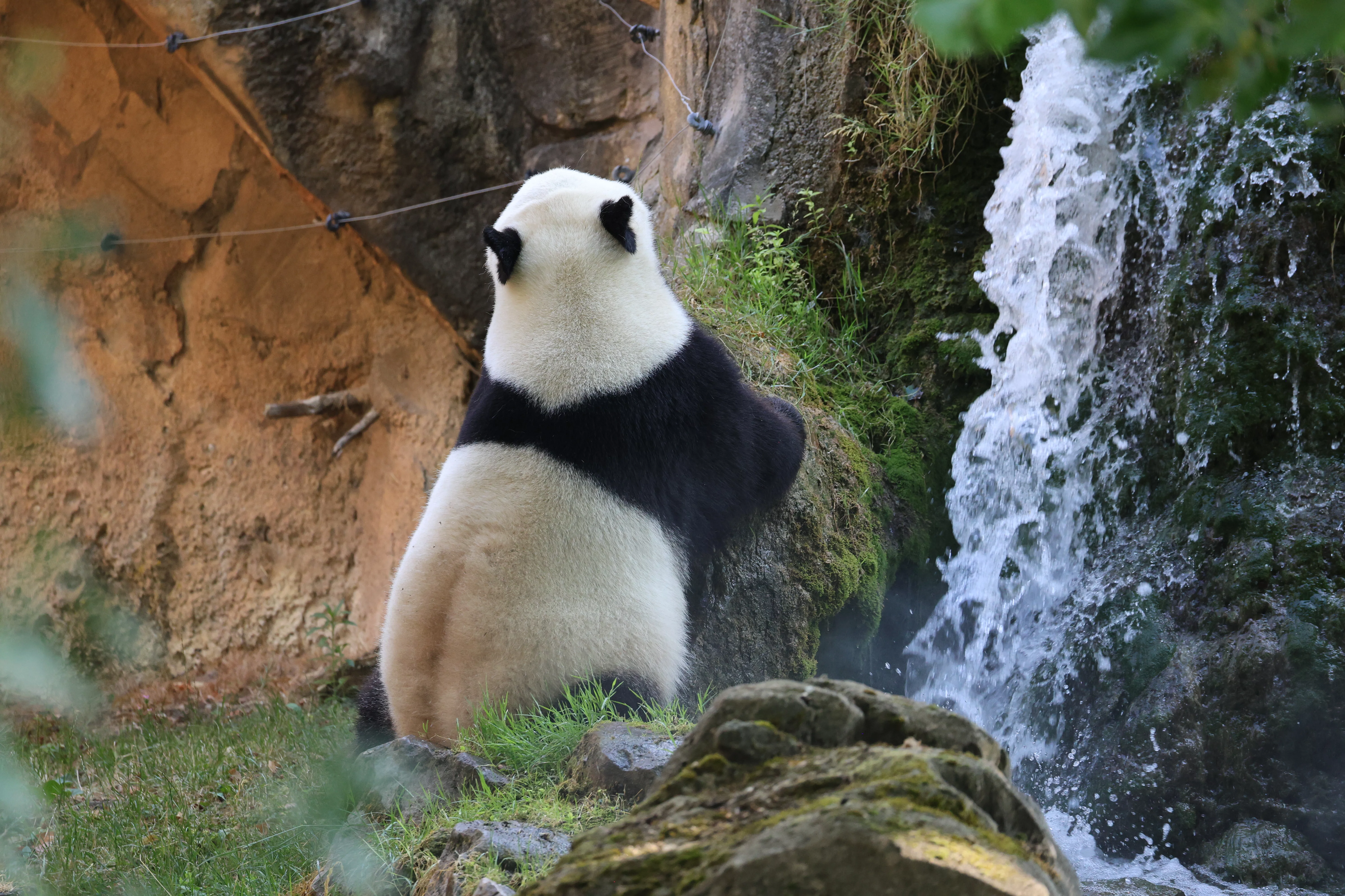 ZooParc de Beauval