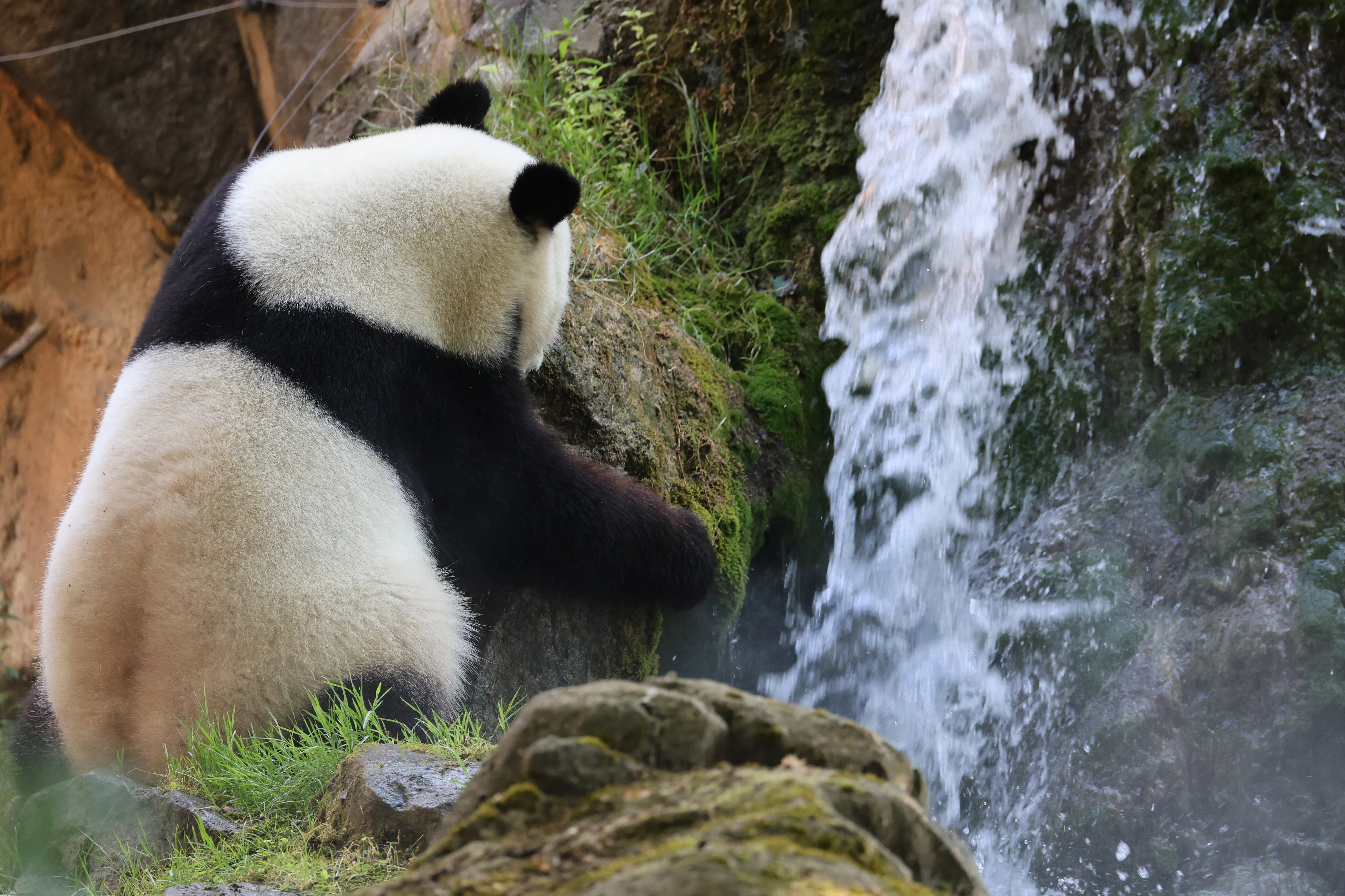 ZooParc de Beauval