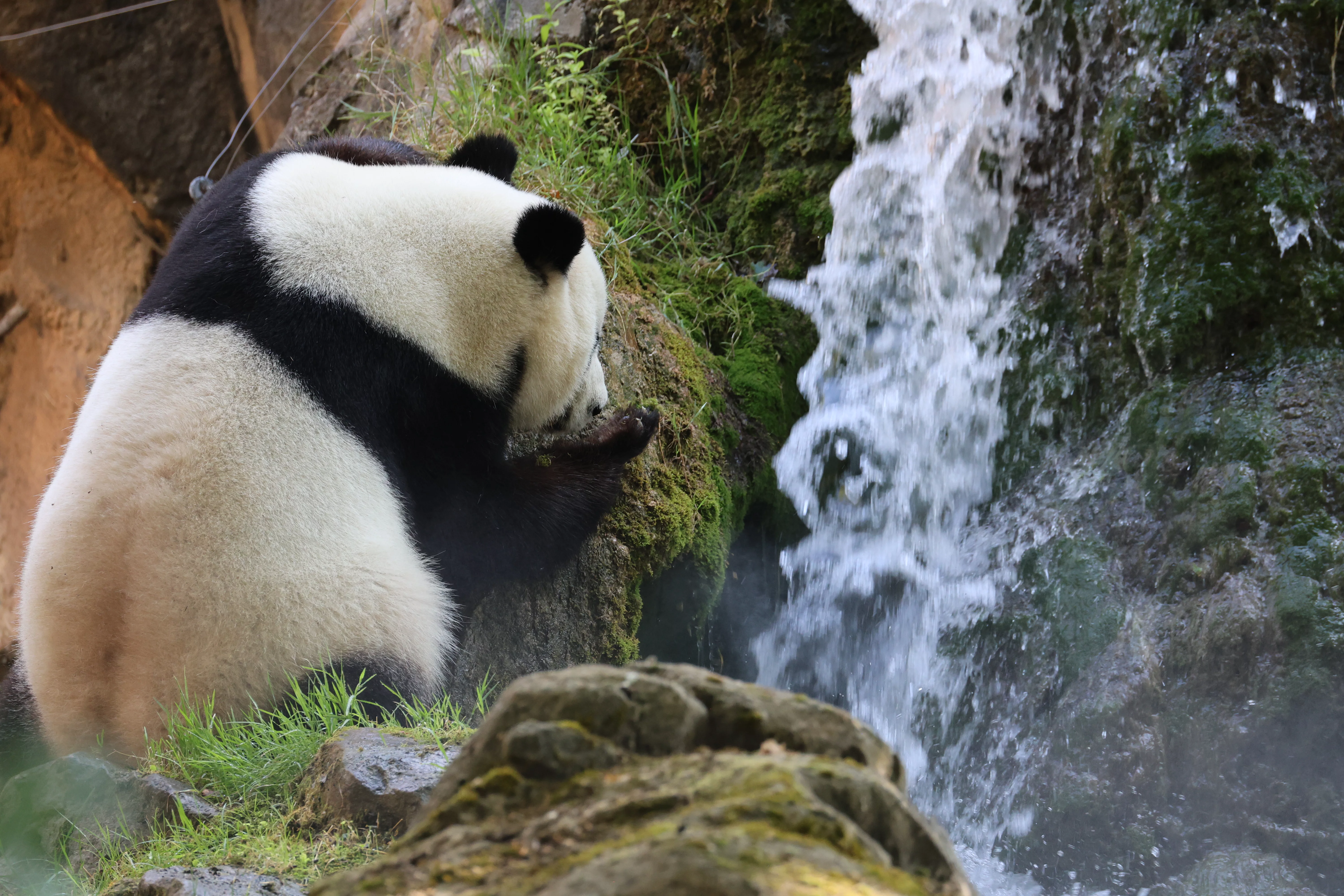 ZooParc de Beauval