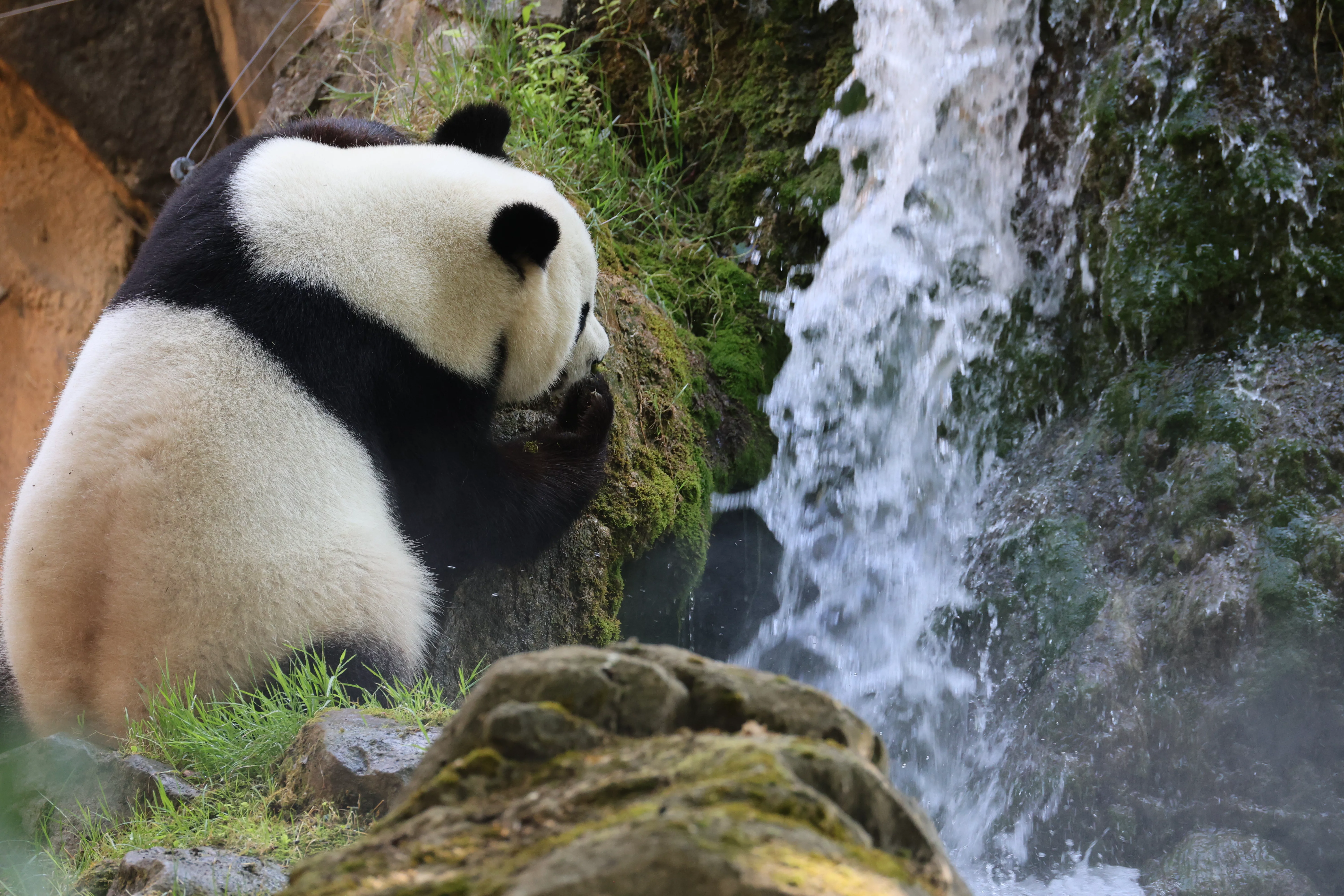 ZooParc de Beauval
