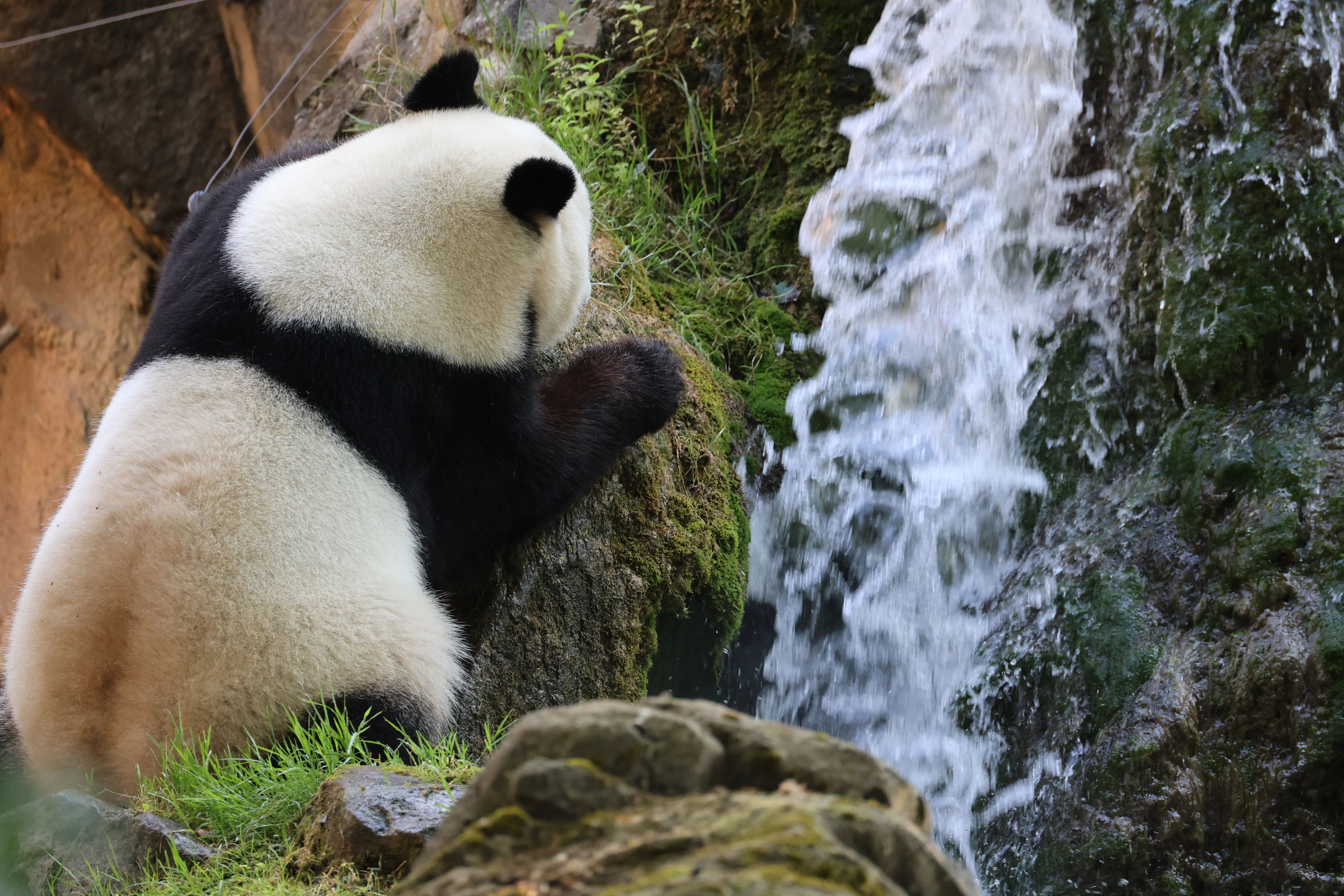ZooParc de Beauval