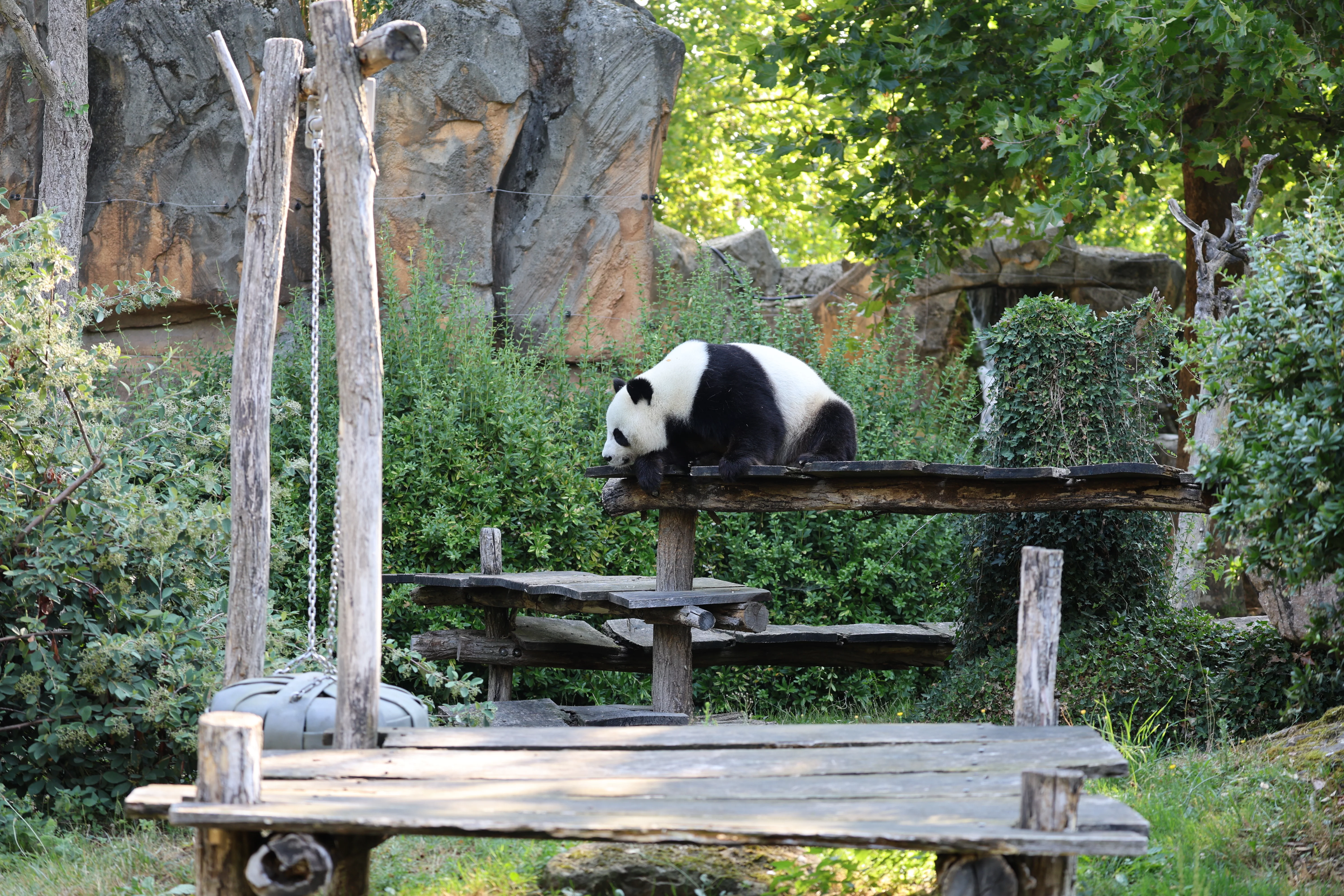 ZooParc de Beauval