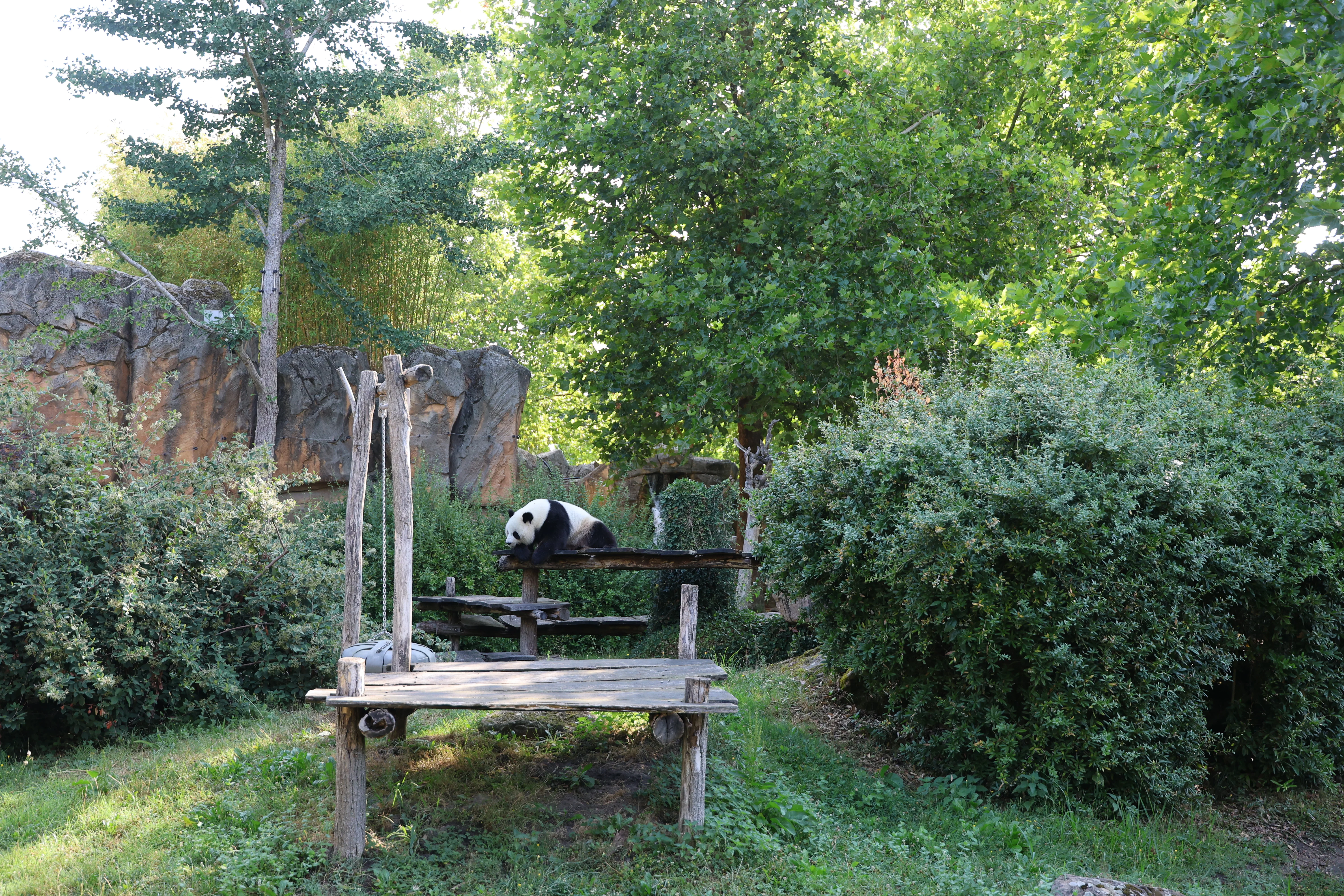 ZooParc de Beauval