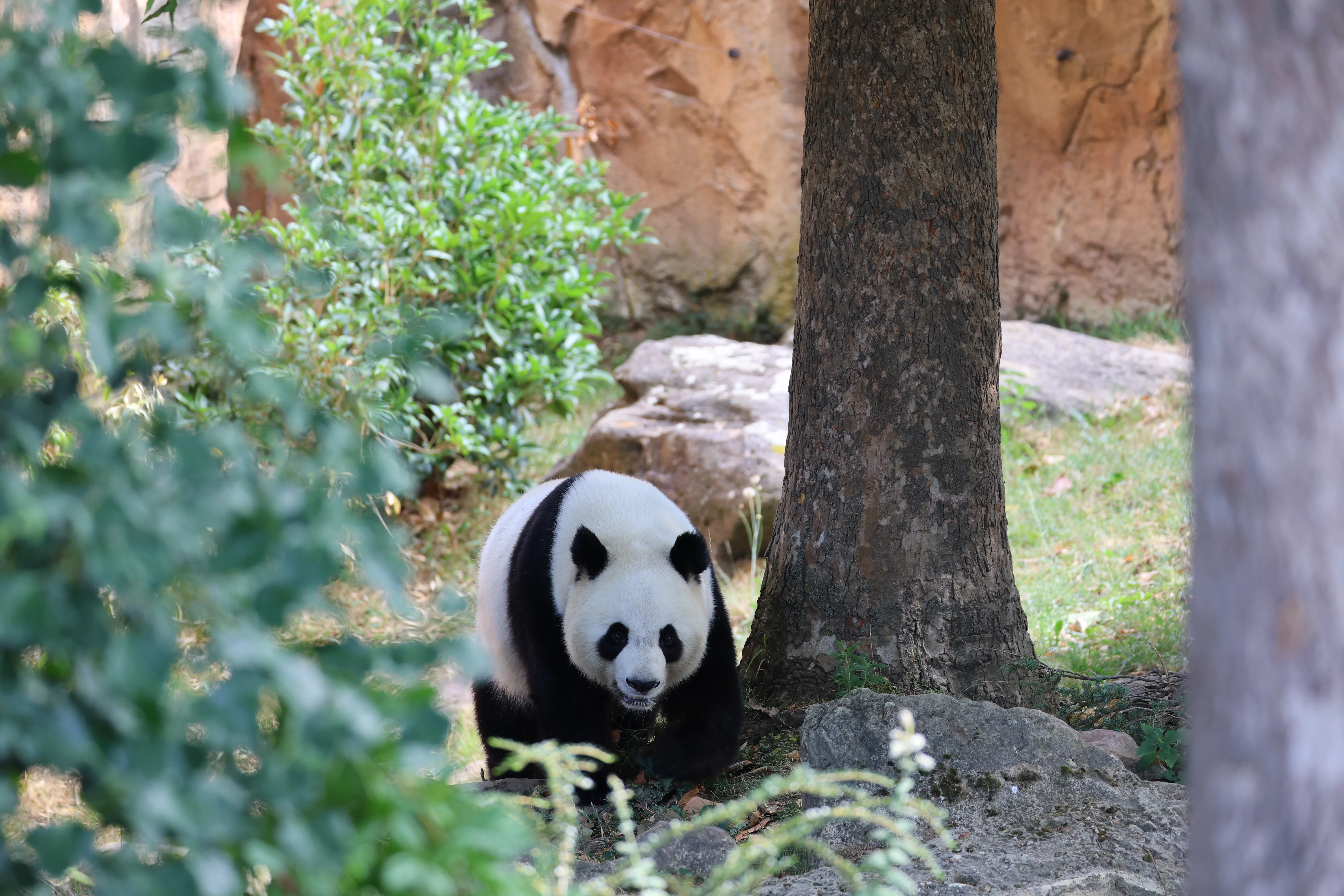 ZooParc de Beauval