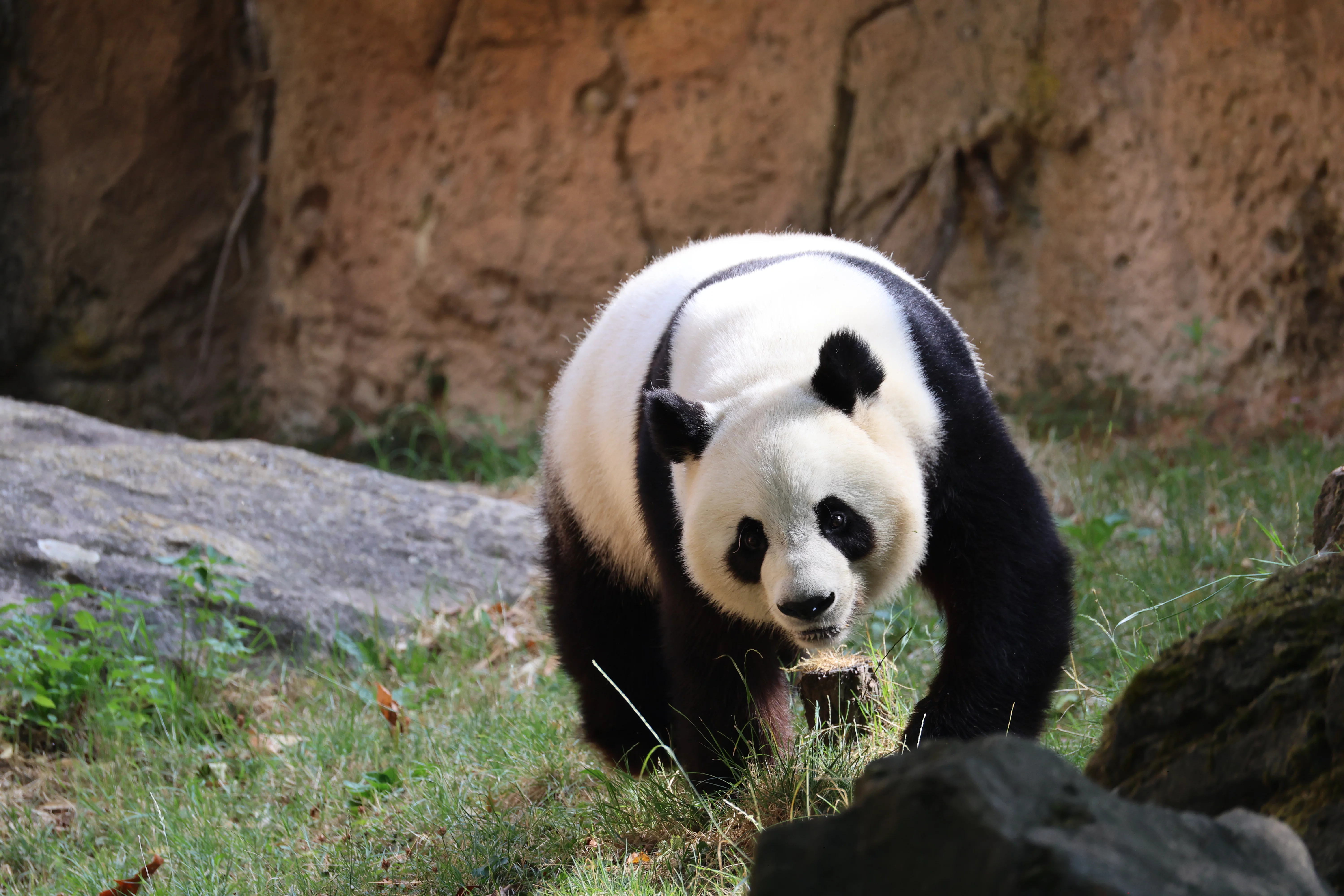 ZooParc de Beauval