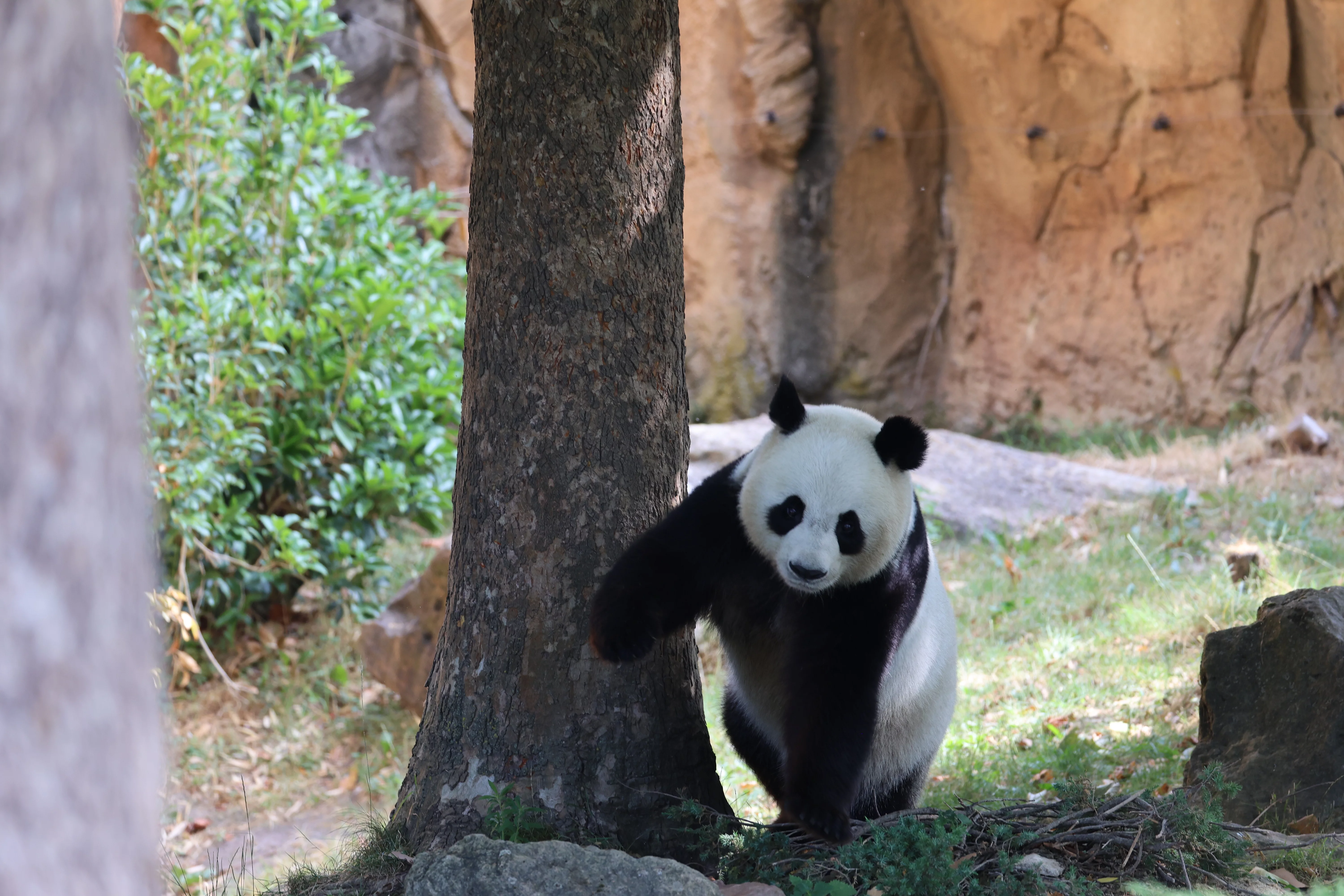 ZooParc de Beauval