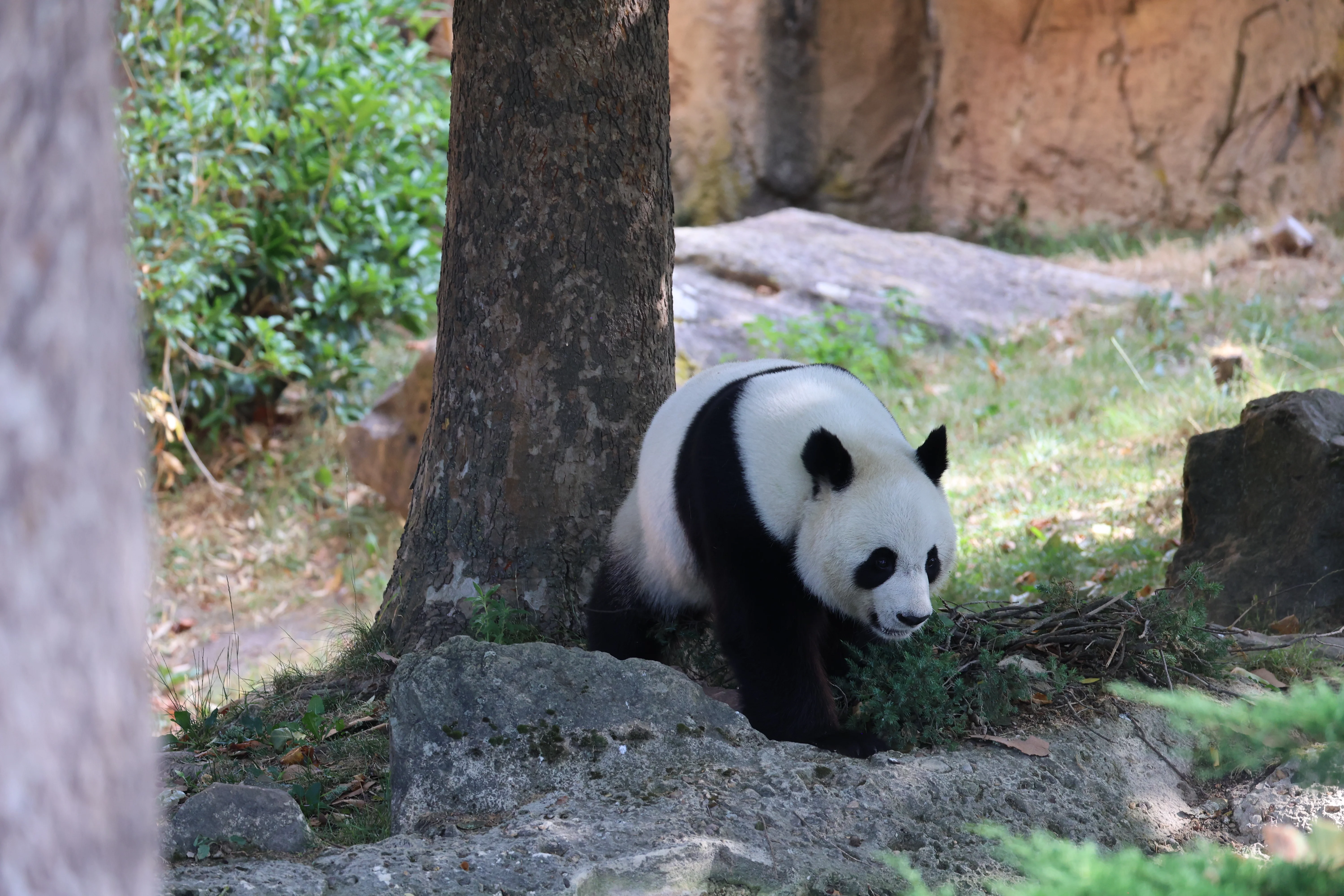 ZooParc de Beauval