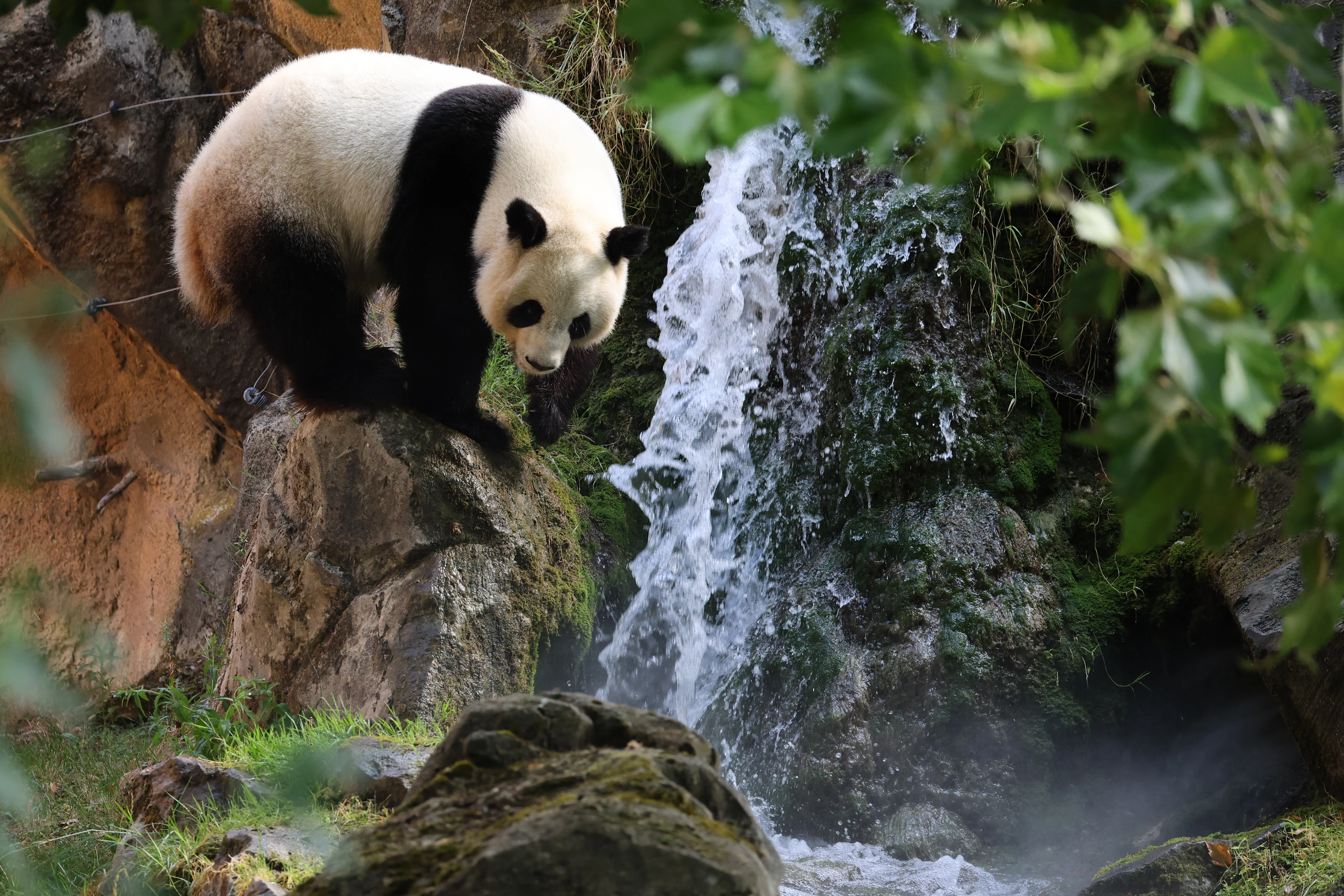 ZooParc de Beauval