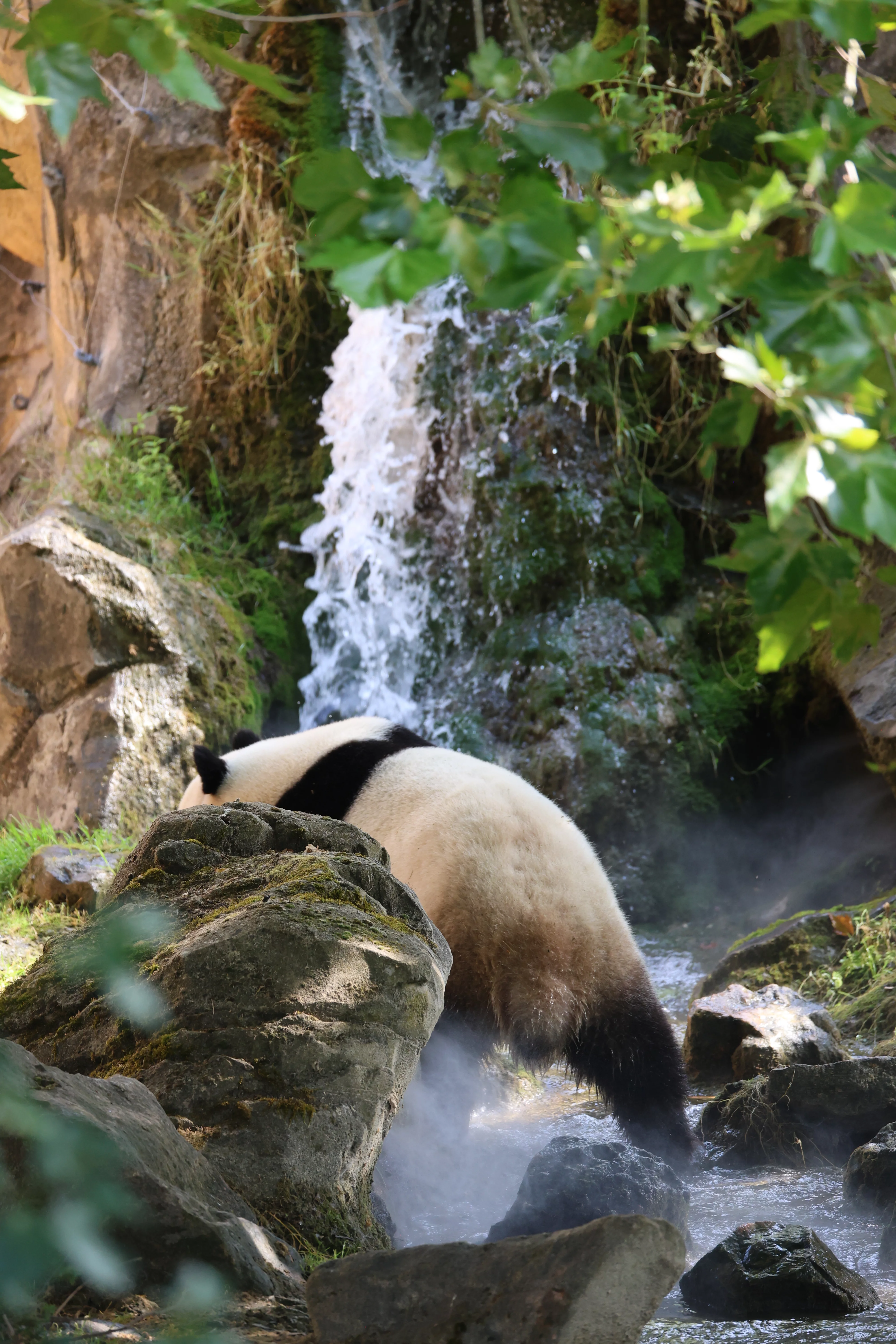 ZooParc de Beauval