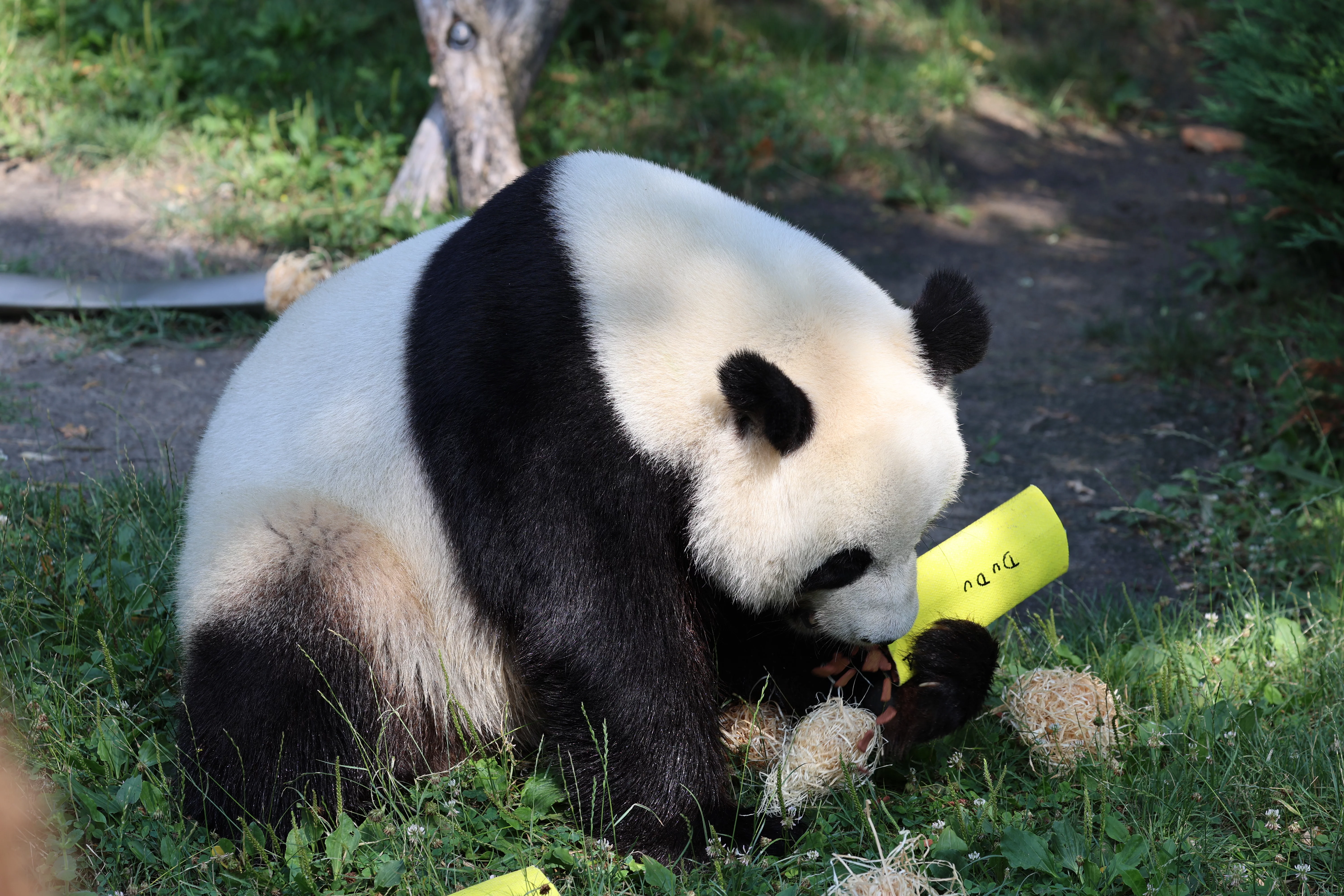 ZooParc de Beauval