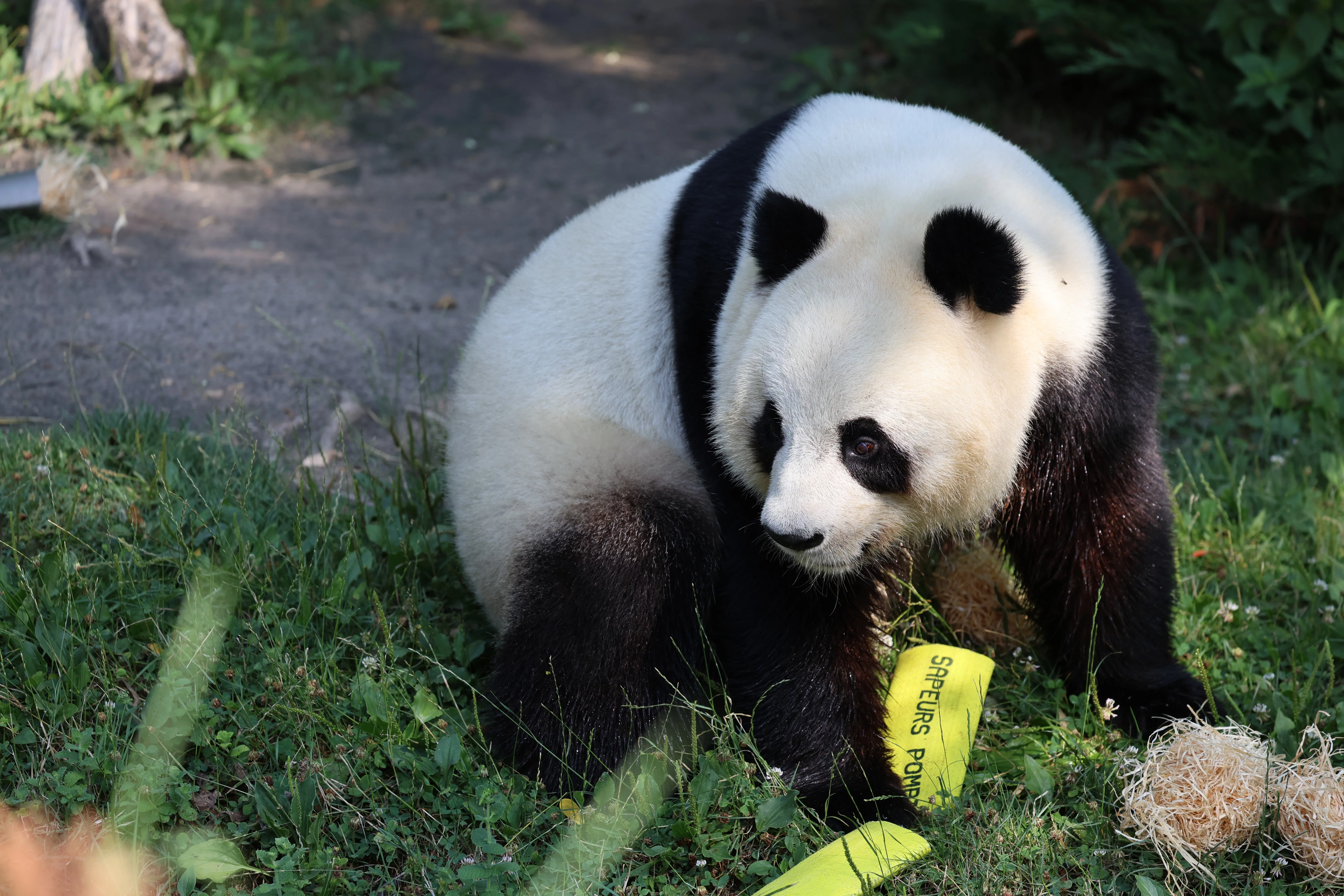 ZooParc de Beauval
