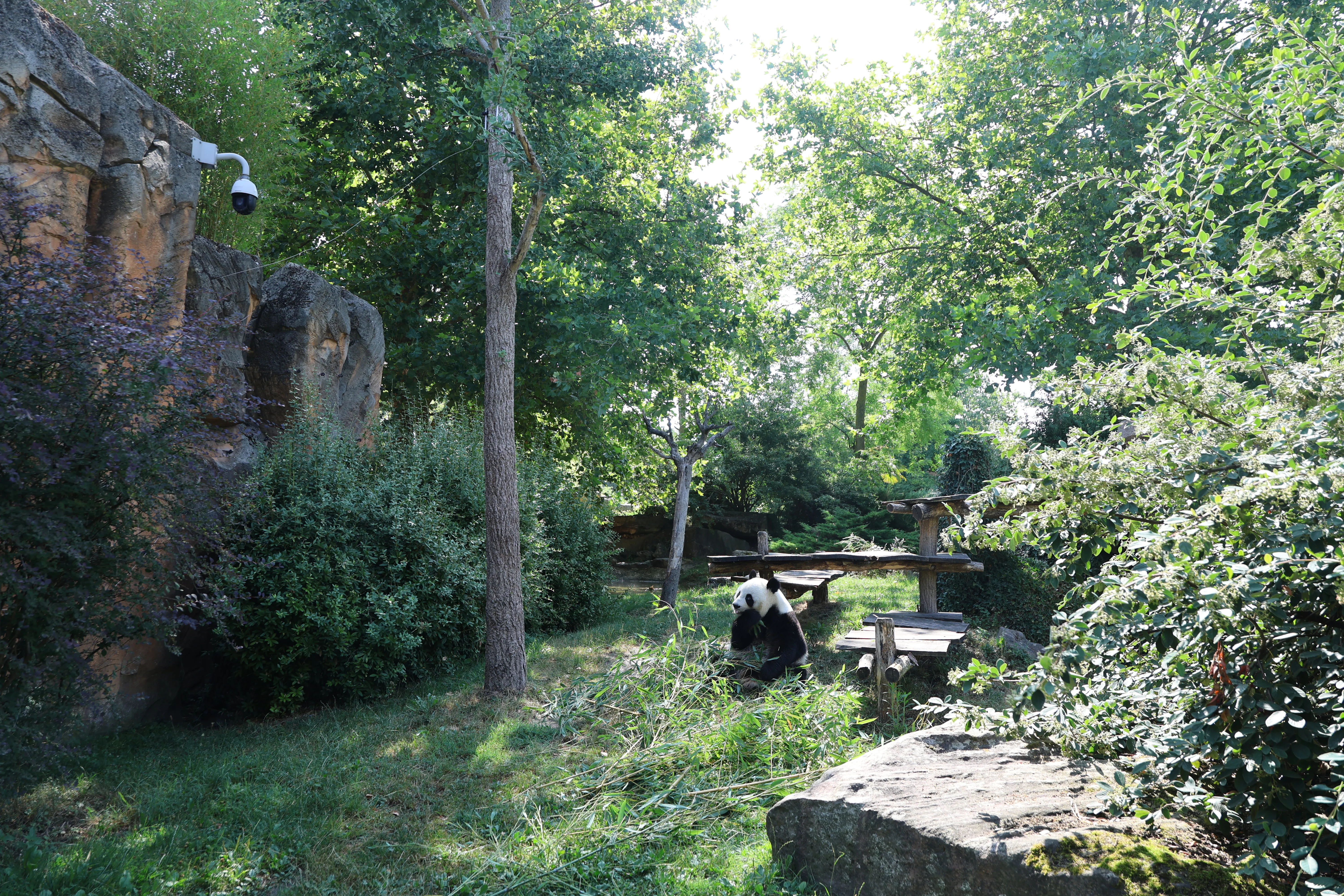 ZooParc de Beauval