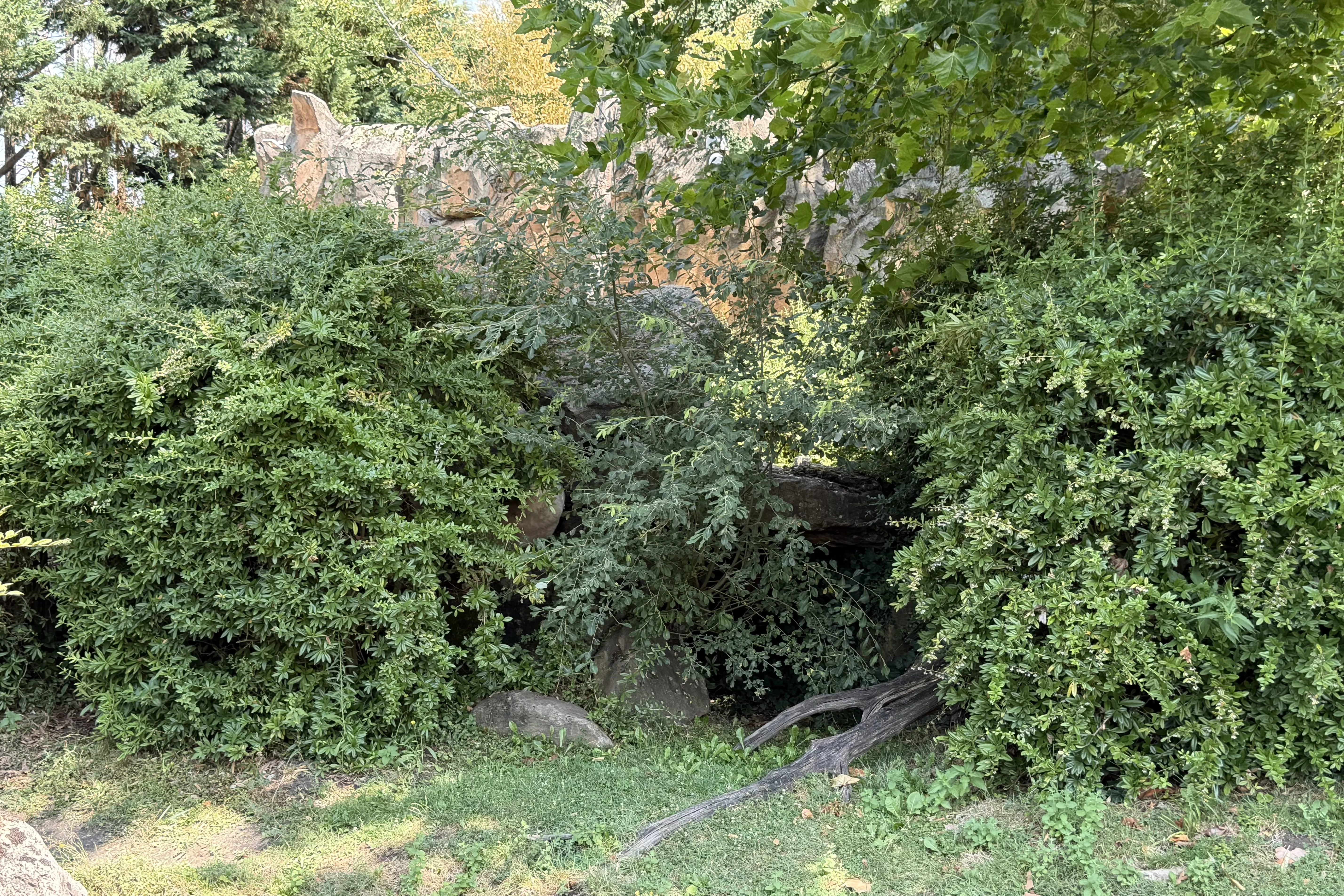 ZooParc de Beauval