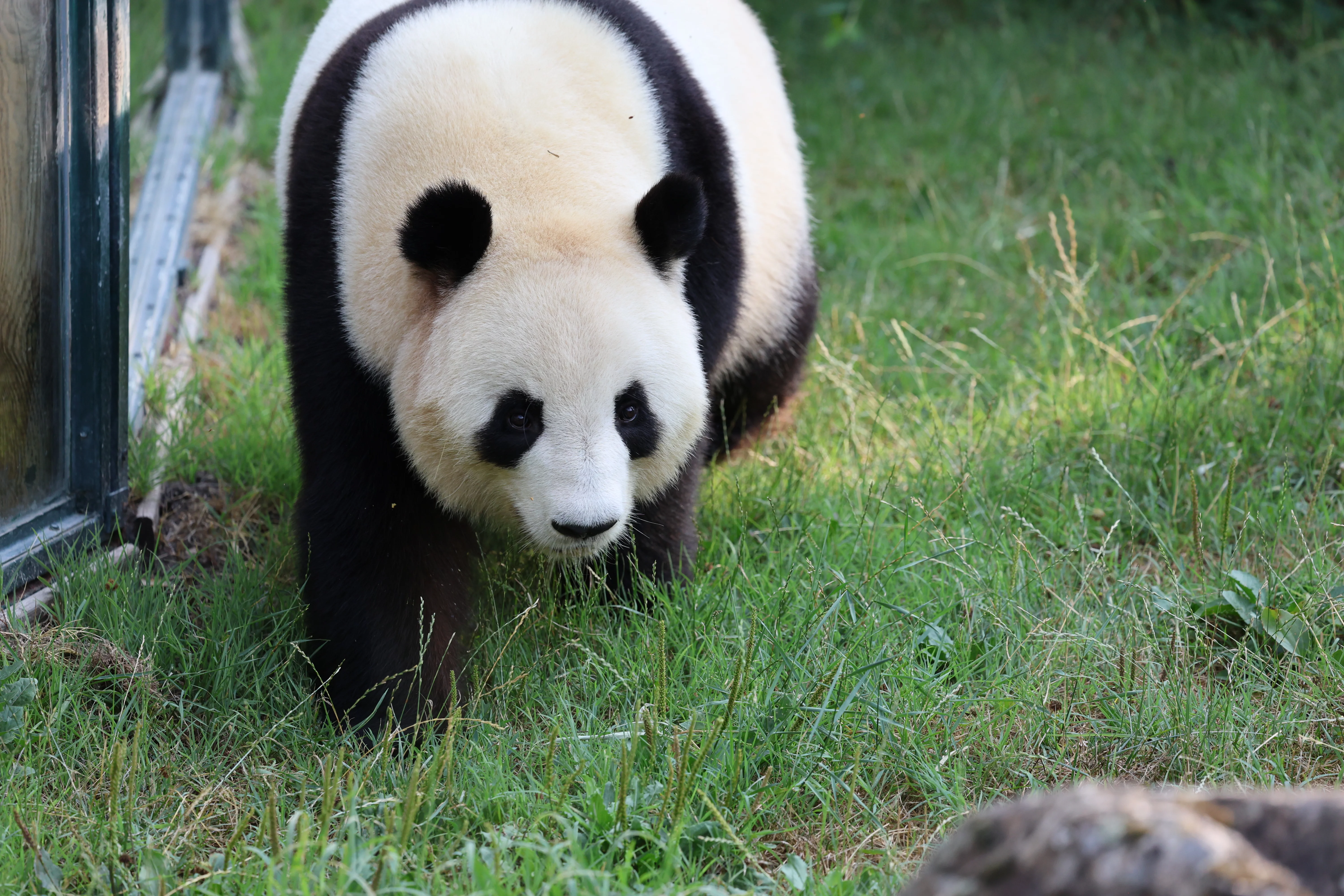 ZooParc de Beauval