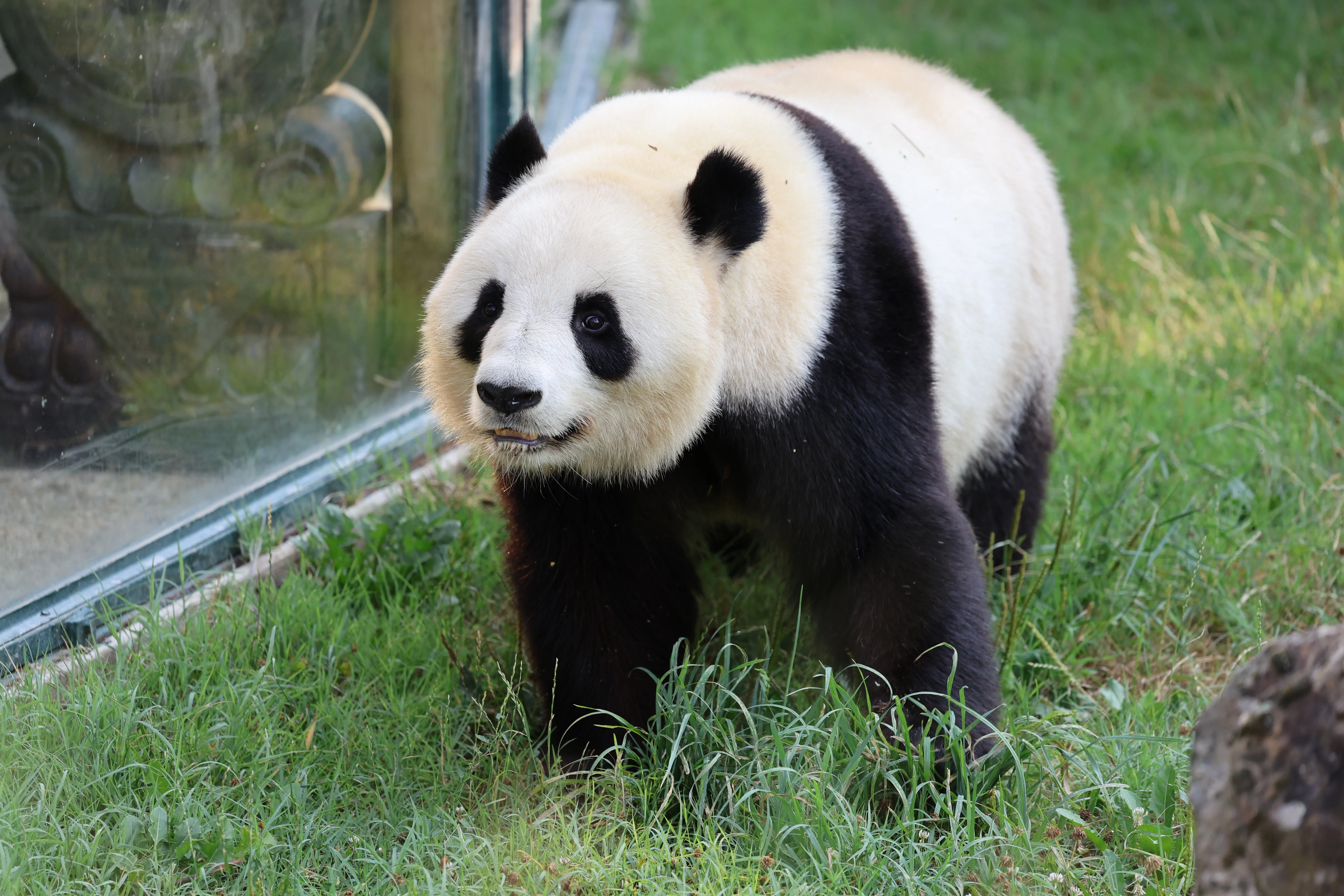 ZooParc de Beauval