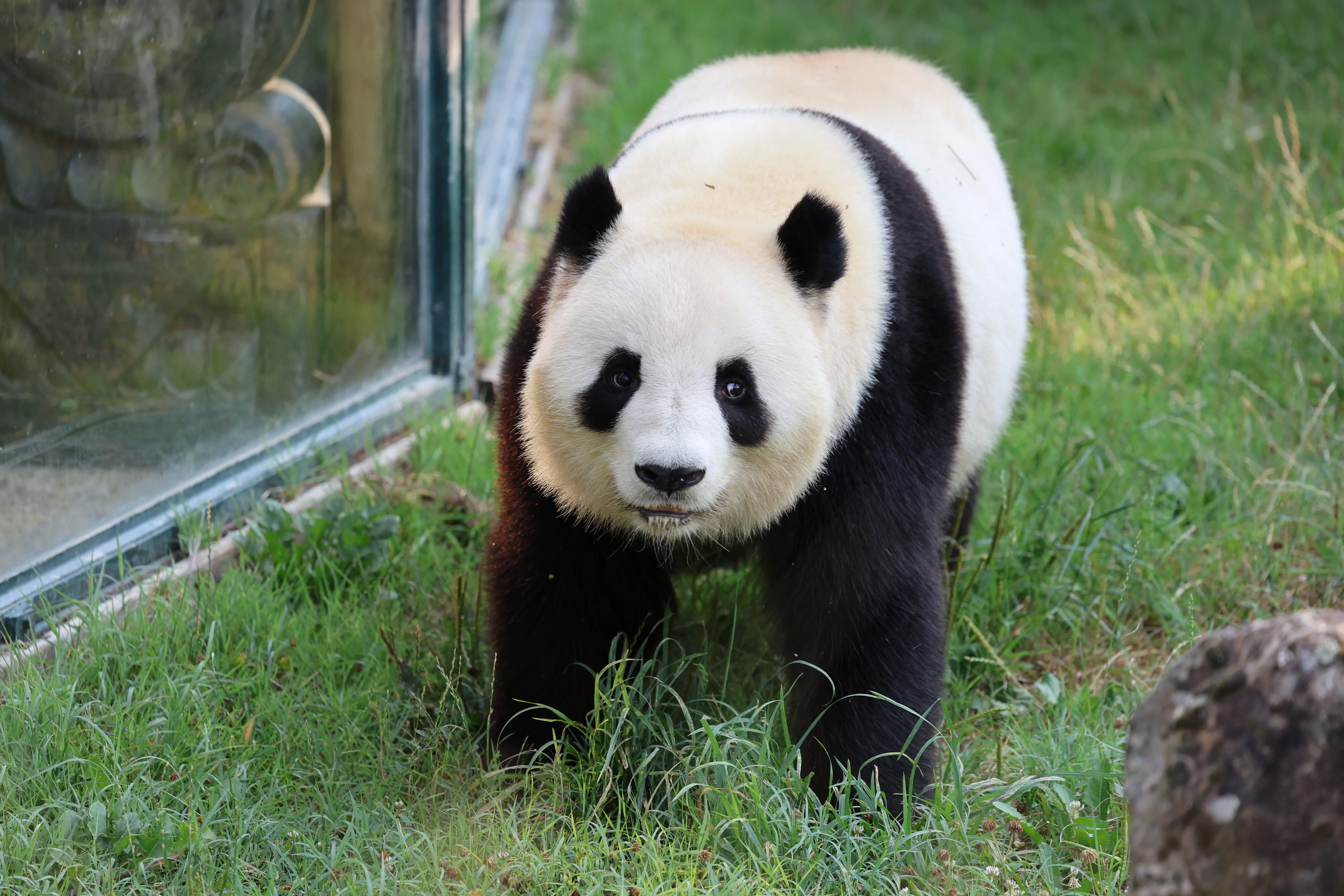 ZooParc de Beauval