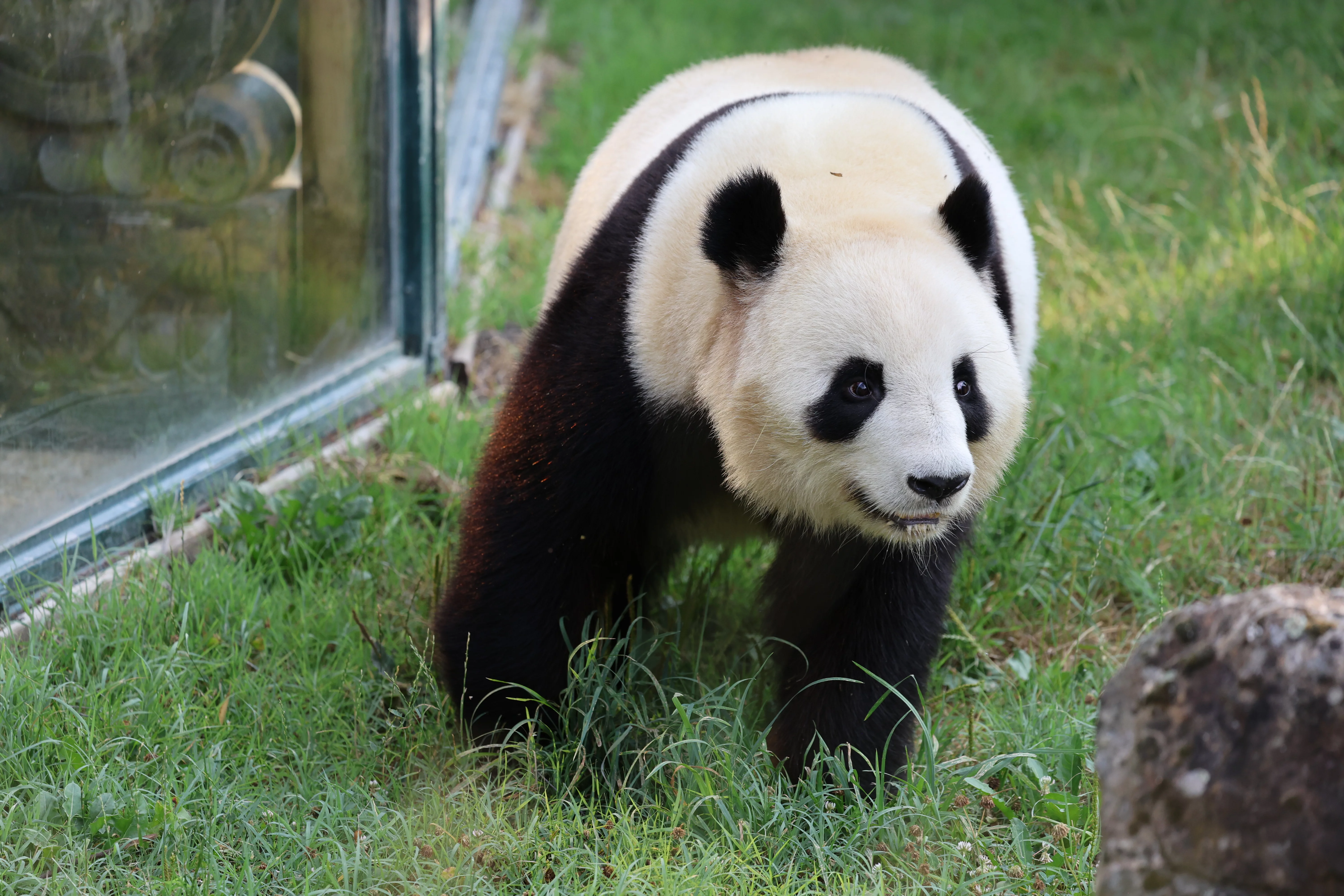 ZooParc de Beauval