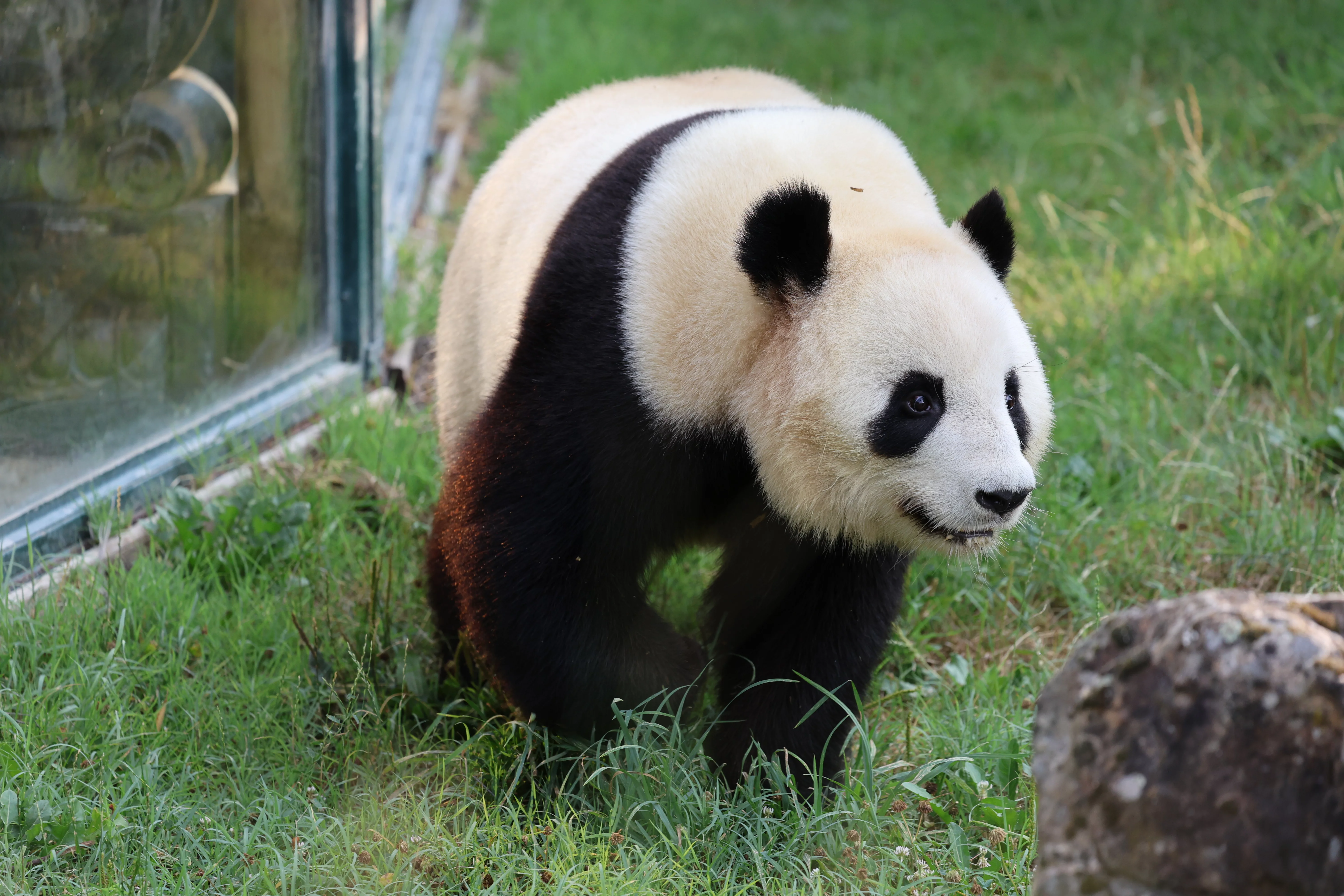 ZooParc de Beauval