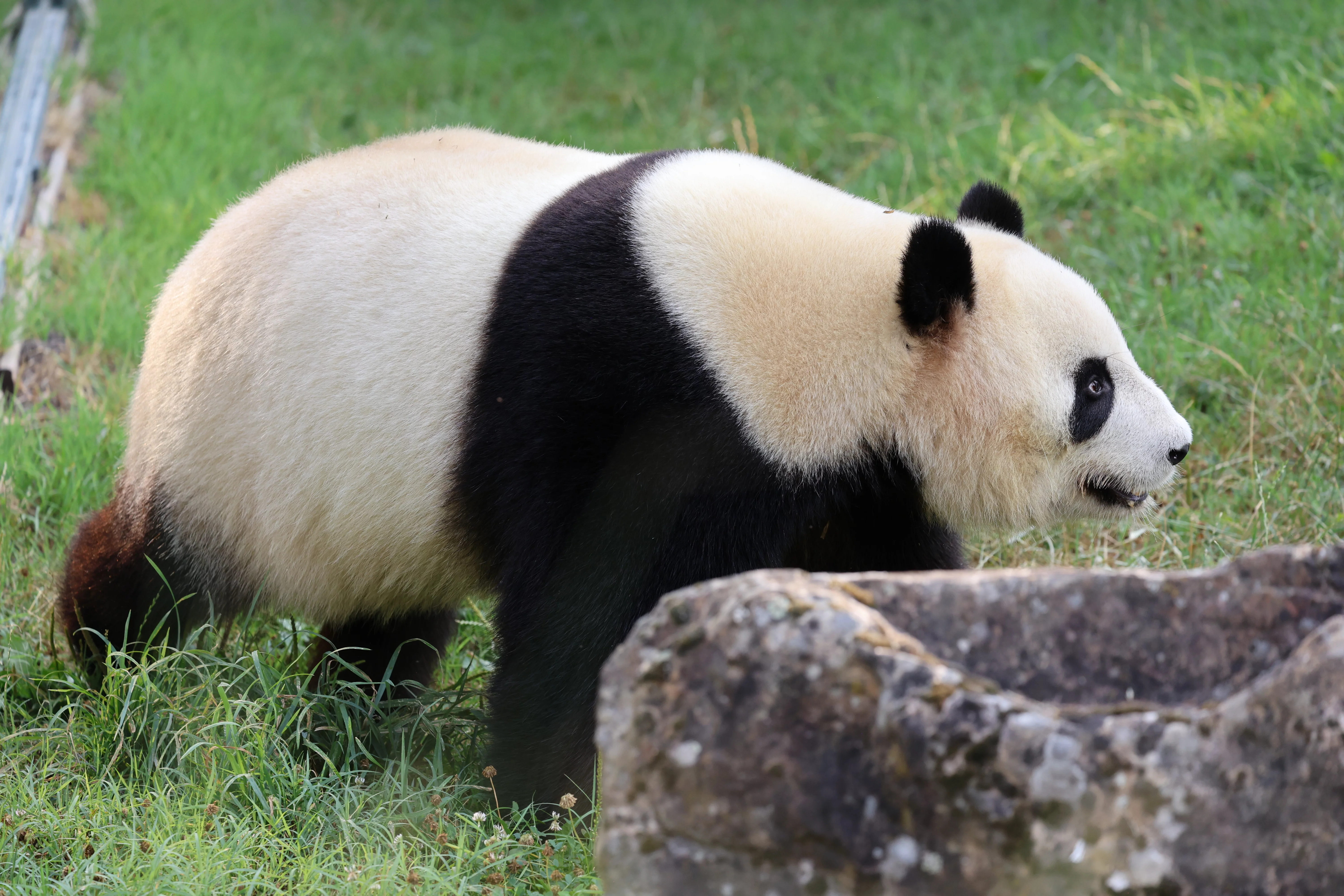 ZooParc de Beauval
