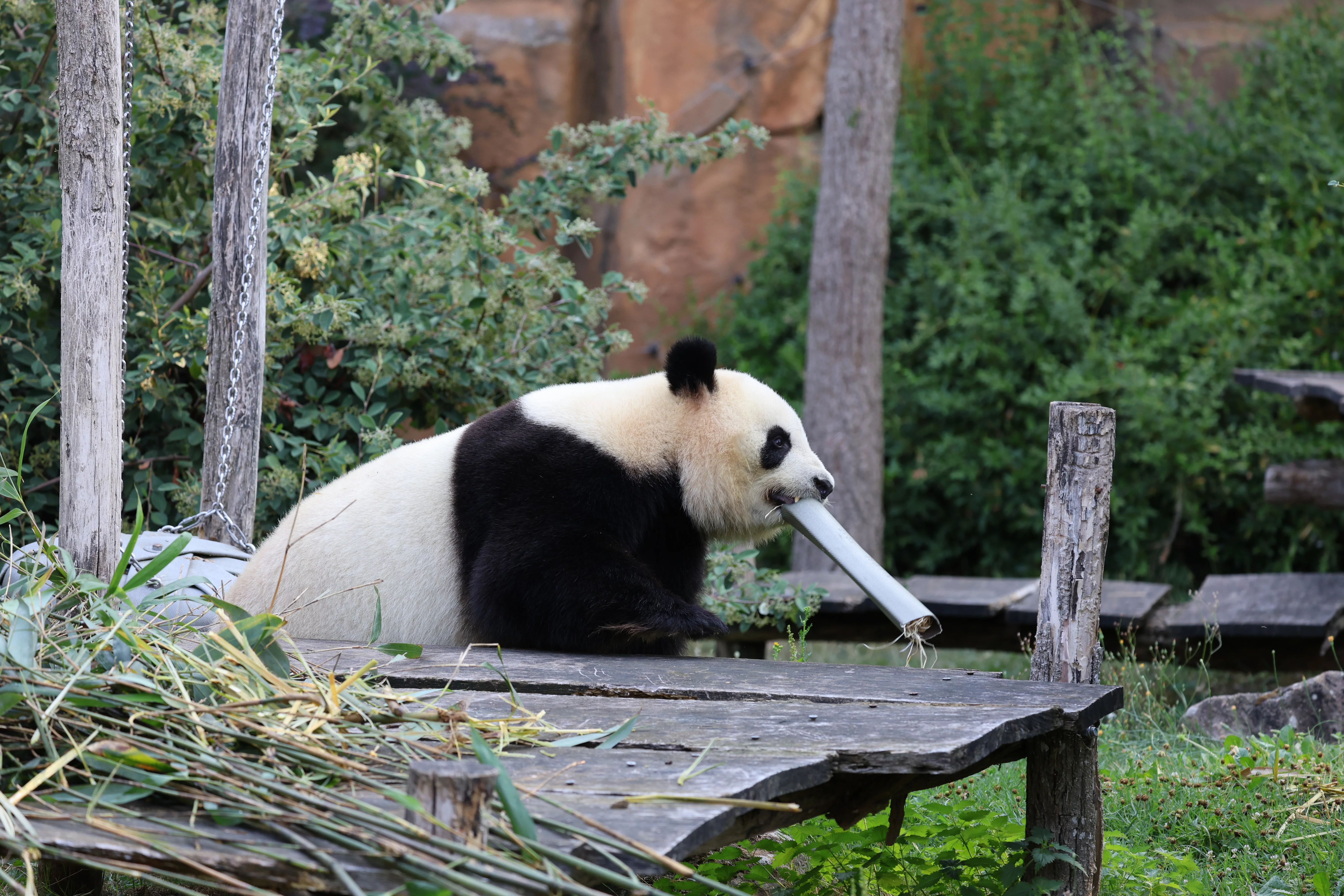 ZooParc de Beauval