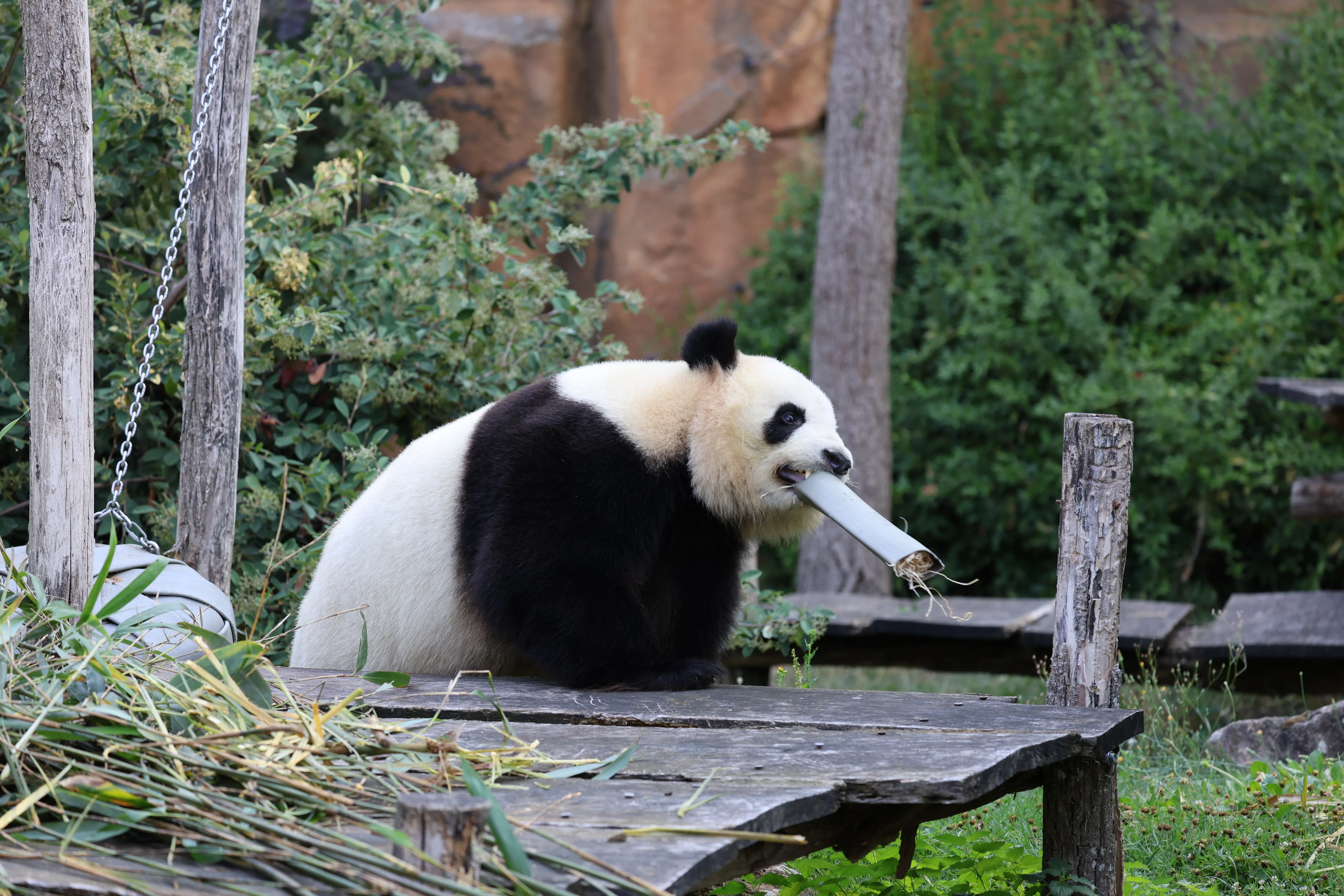ZooParc de Beauval