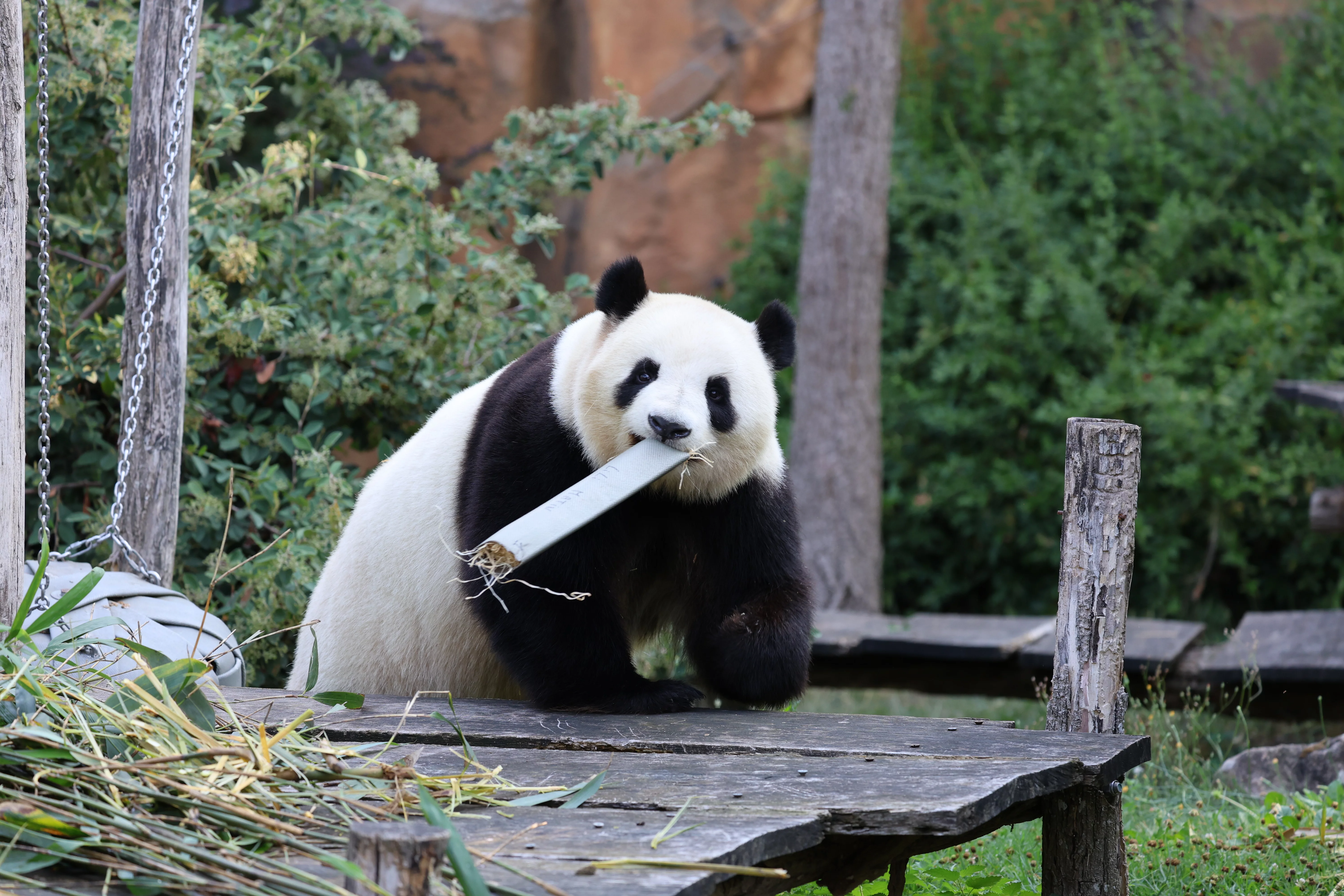 ZooParc de Beauval