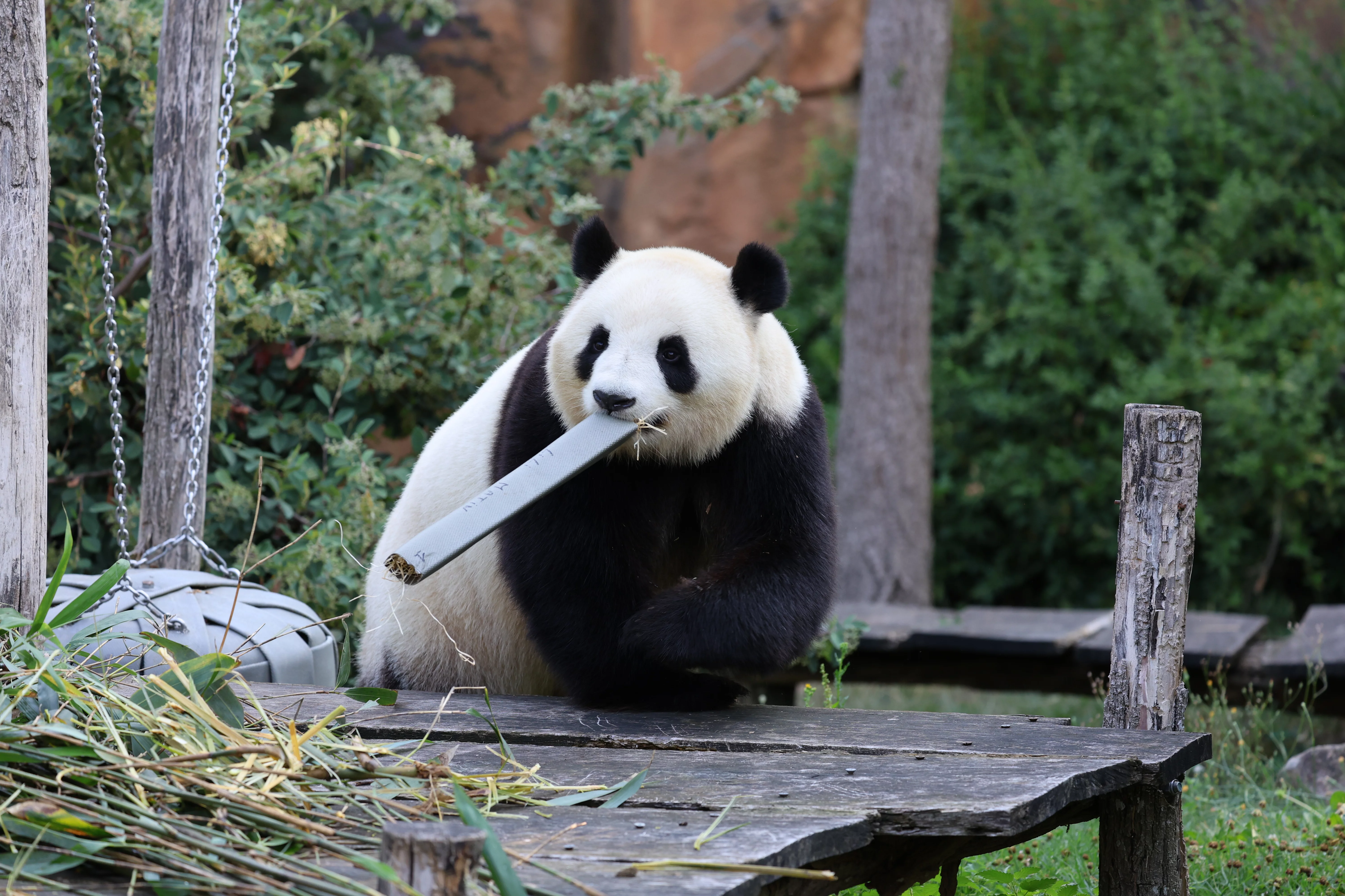 ZooParc de Beauval