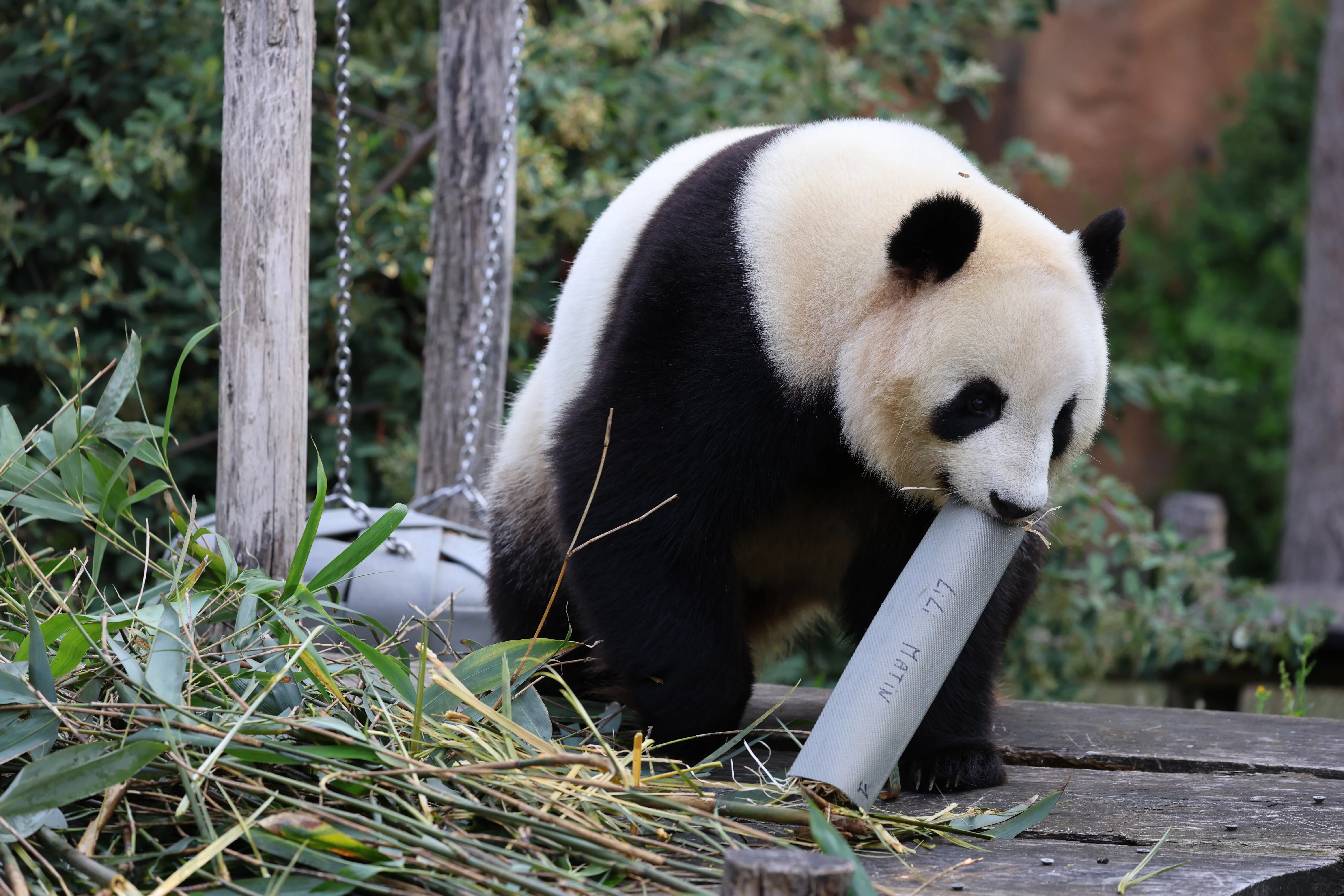 ZooParc de Beauval