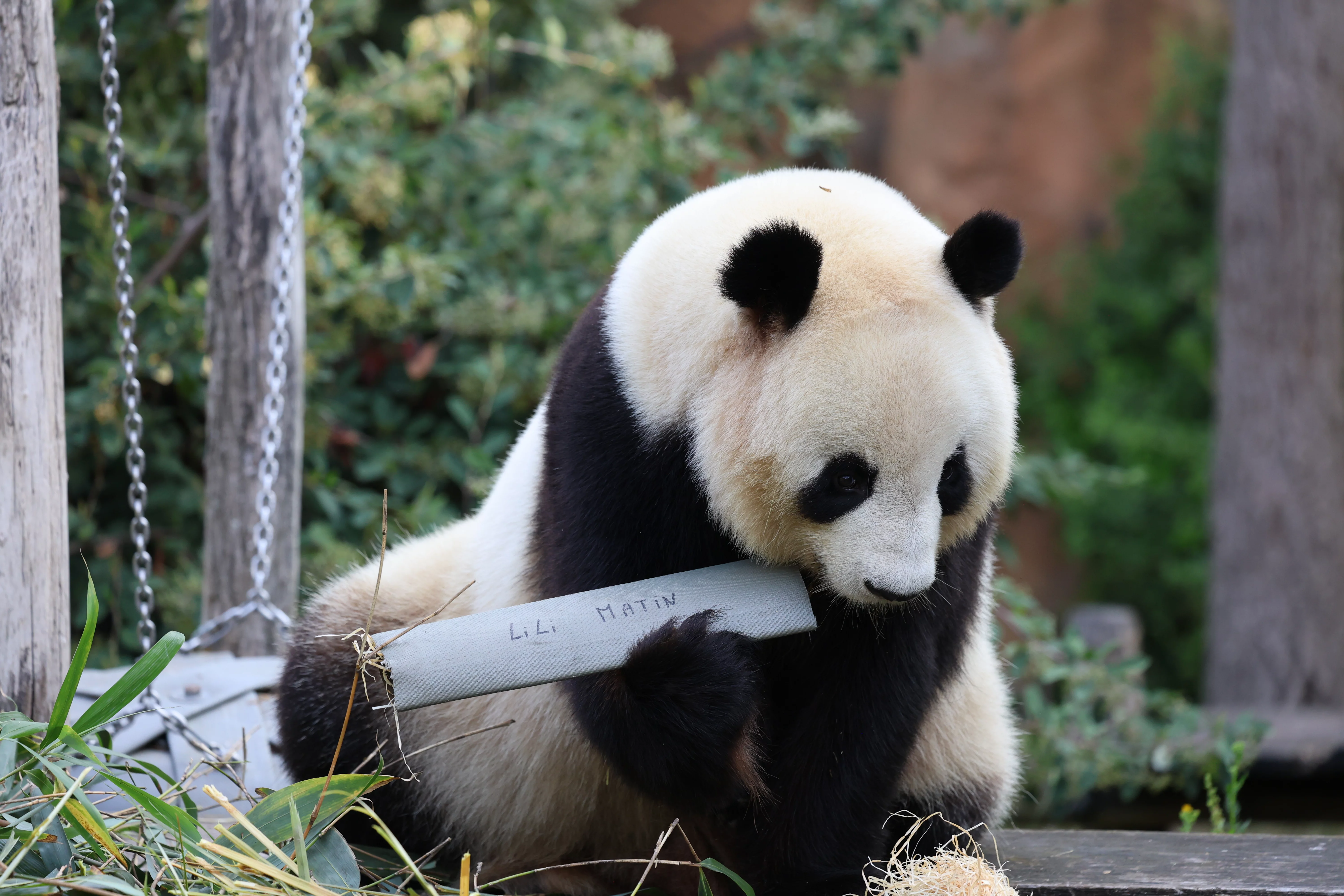 ZooParc de Beauval
