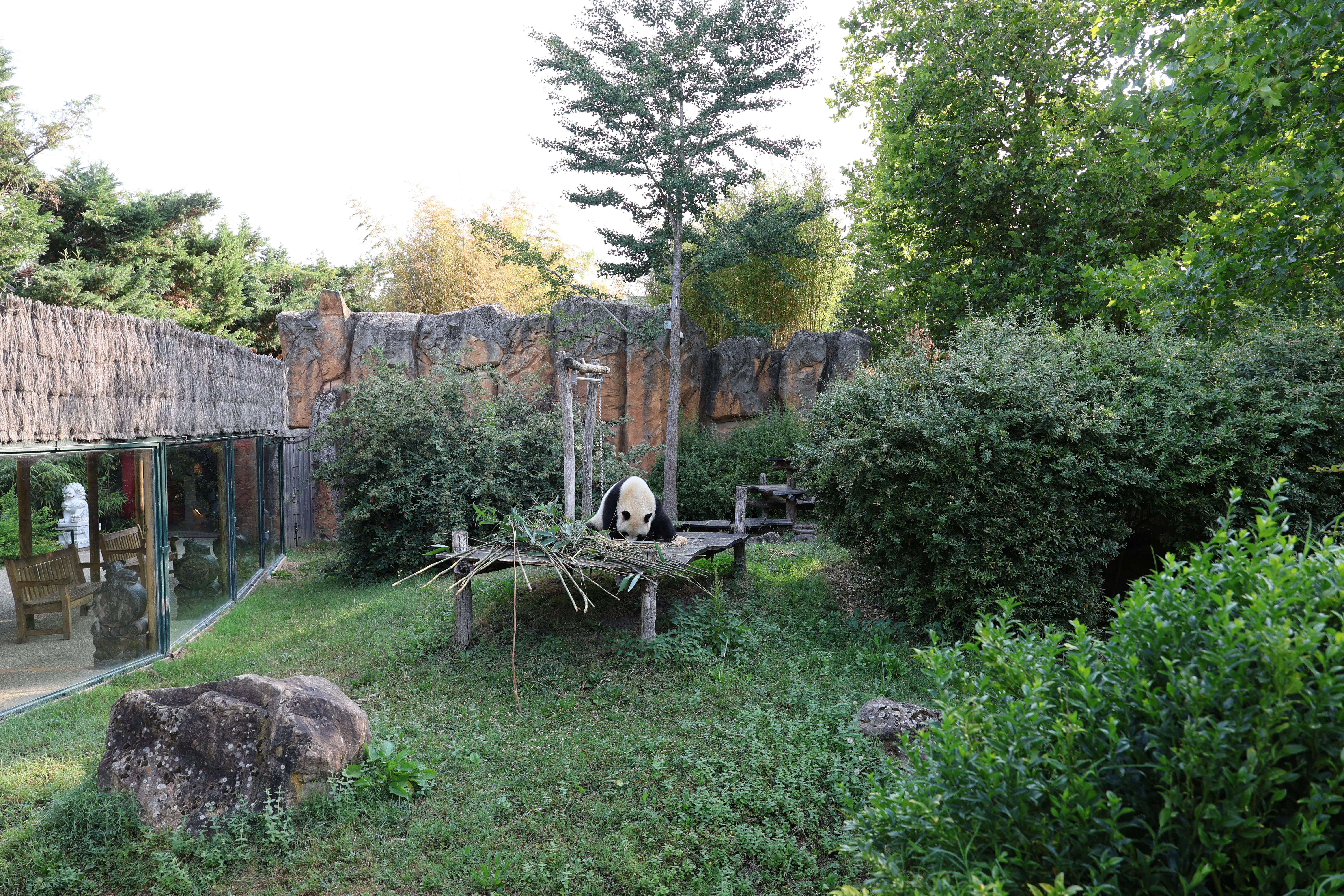 ZooParc de Beauval