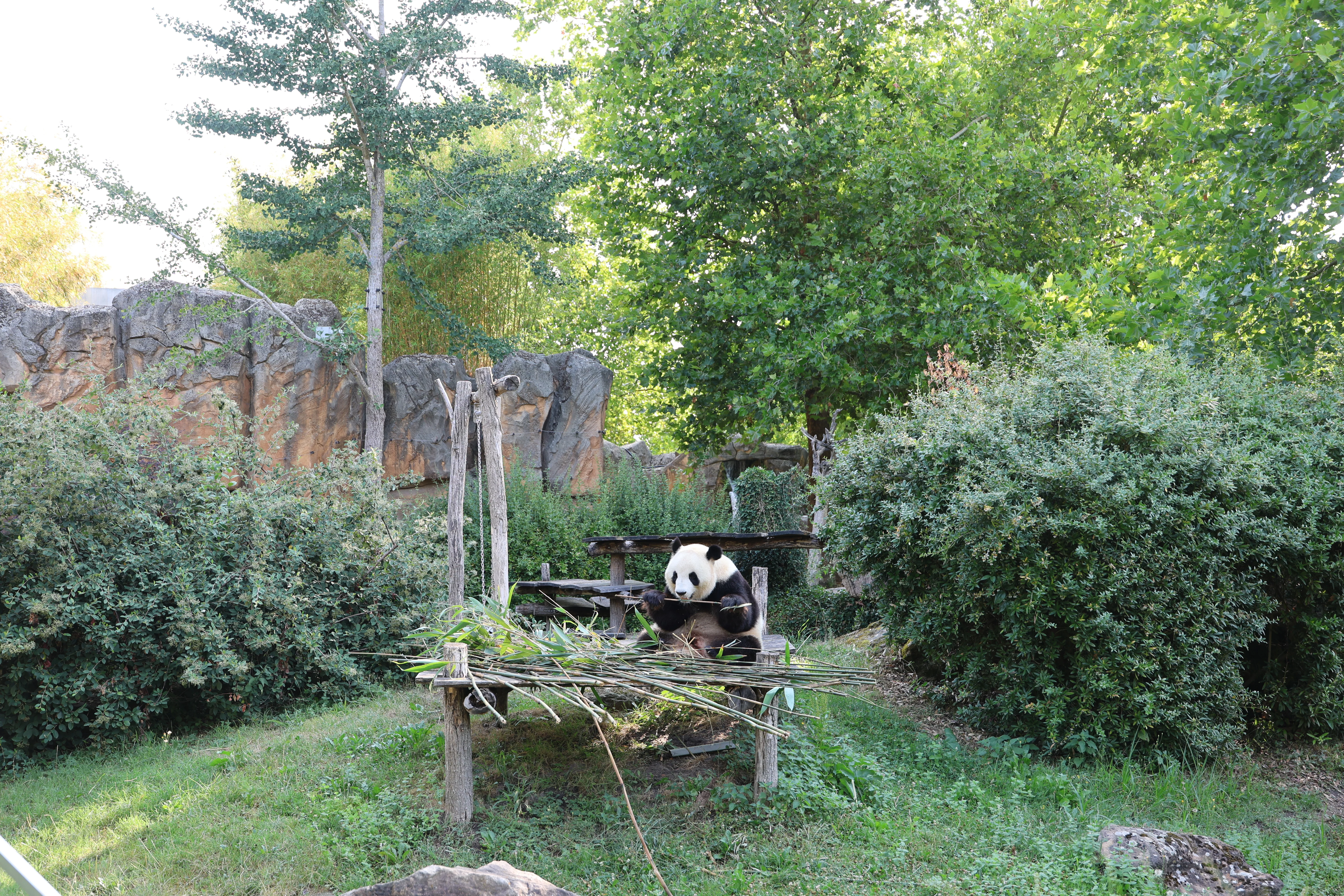 ZooParc de Beauval
