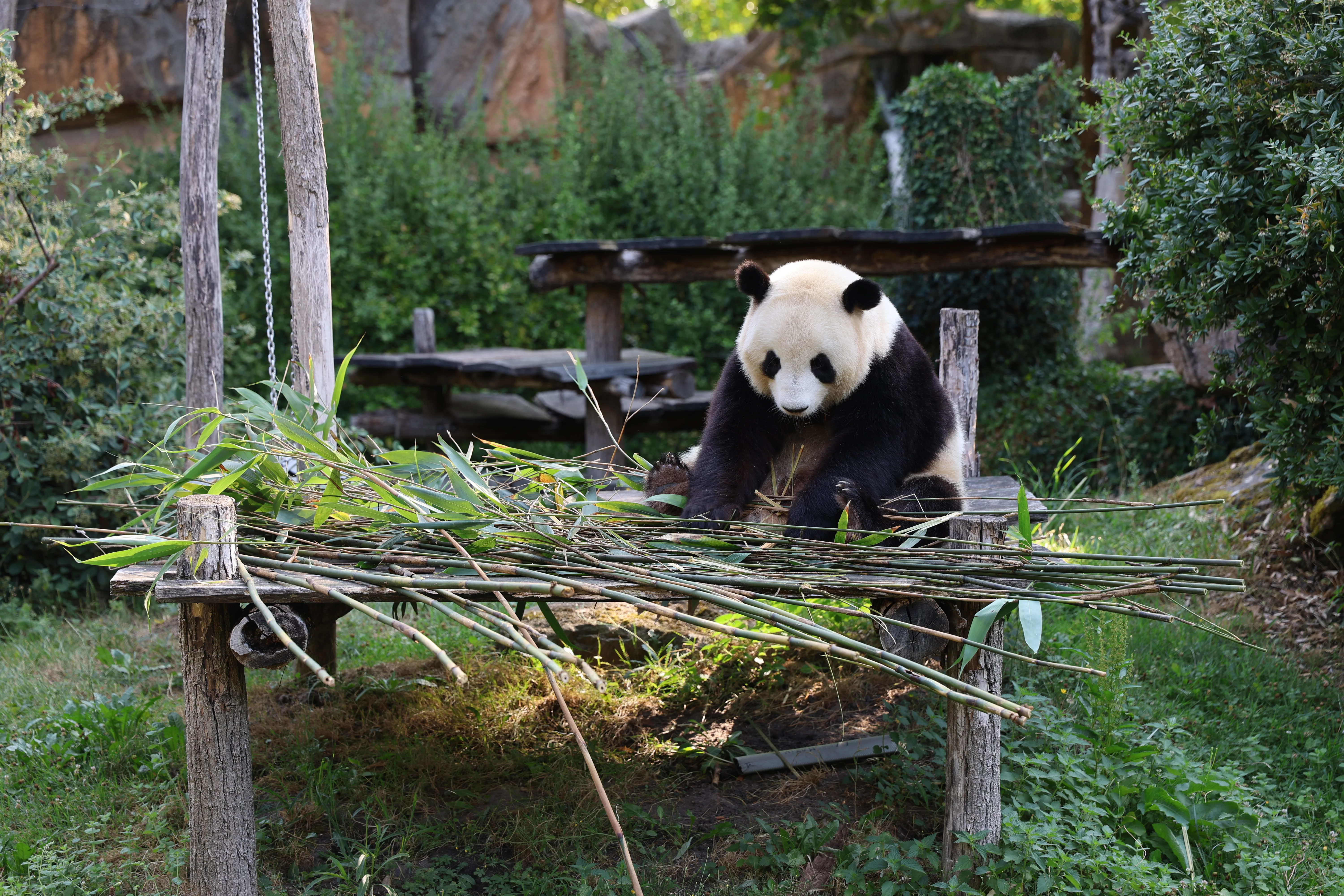 ZooParc de Beauval