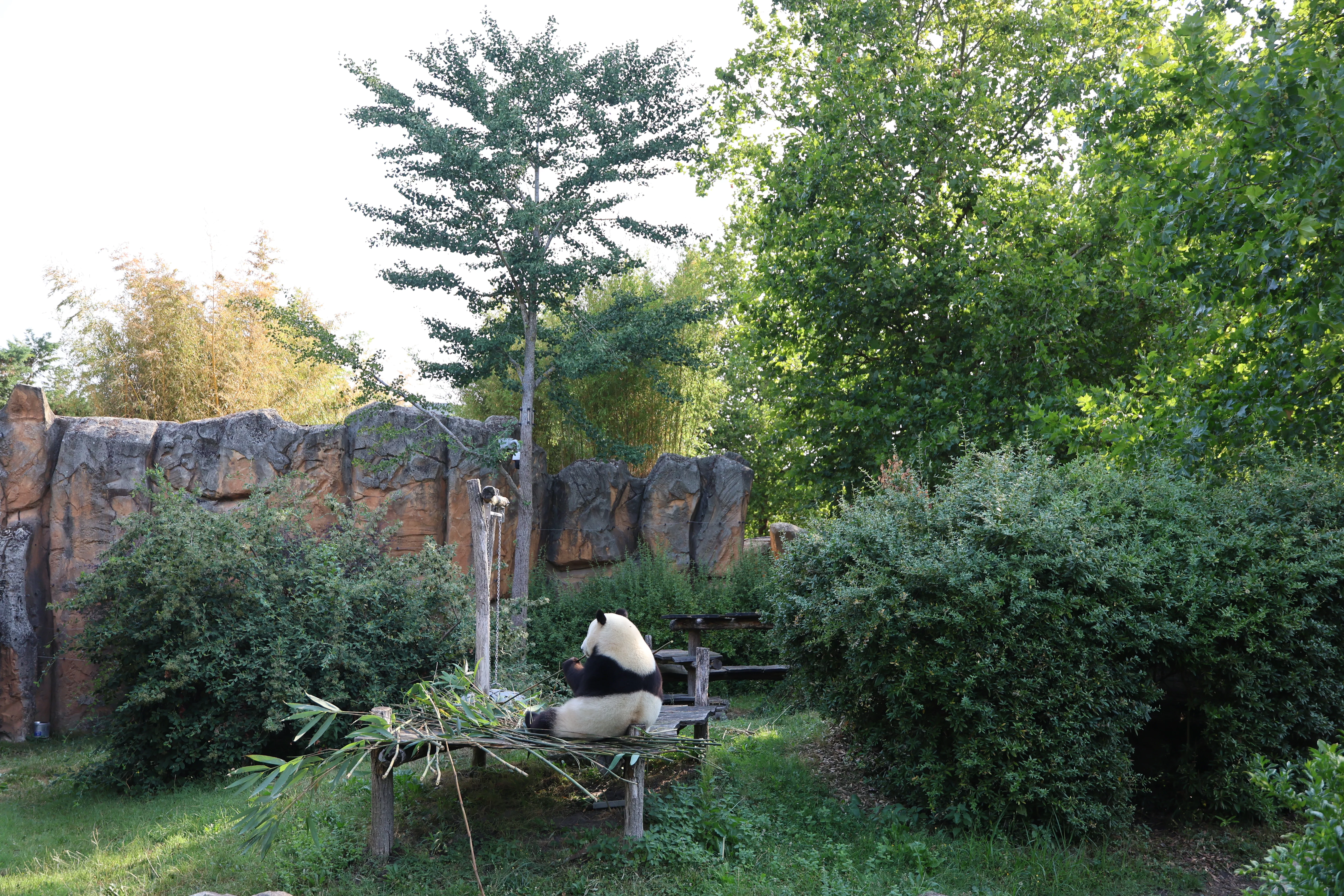ZooParc de Beauval