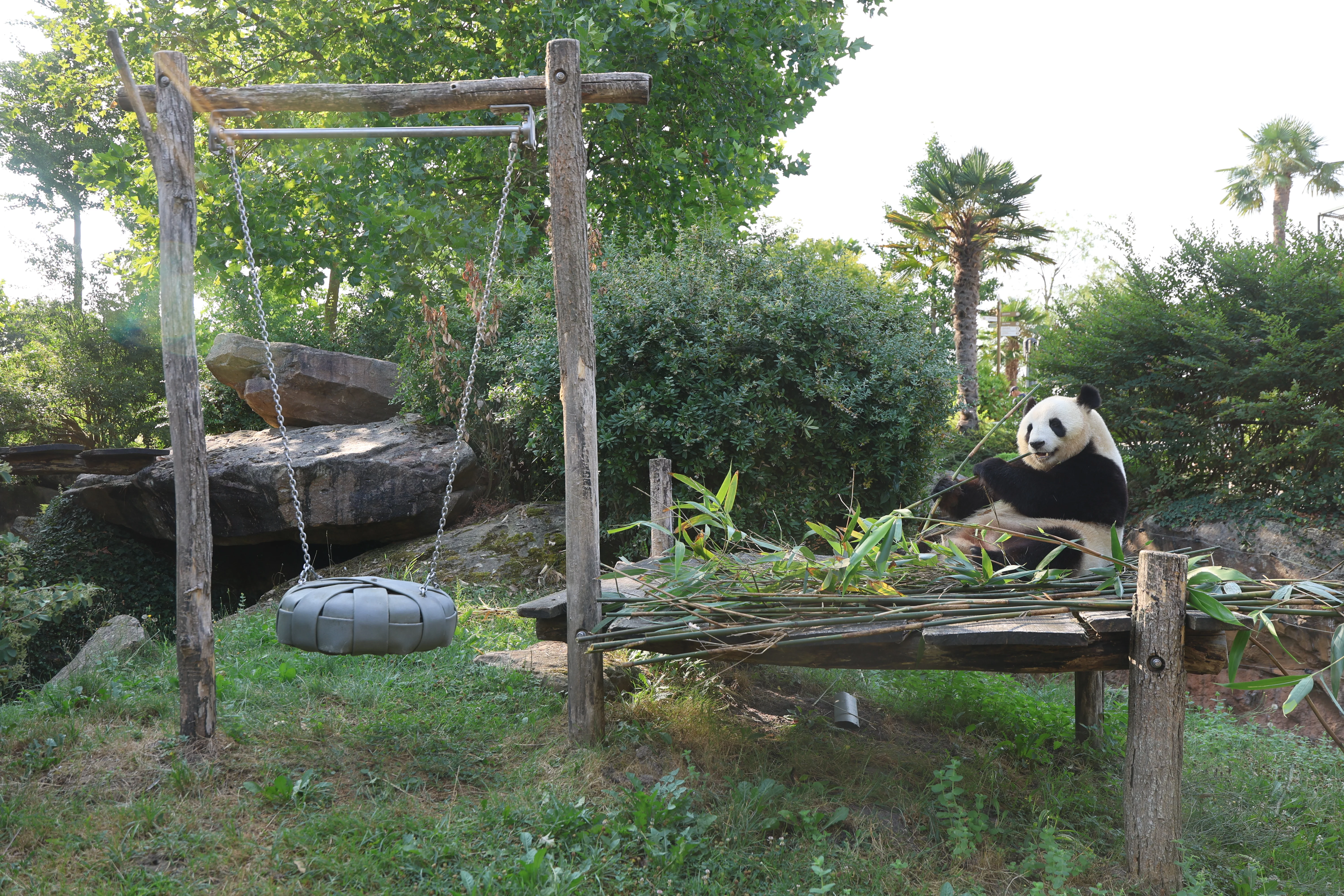ZooParc de Beauval