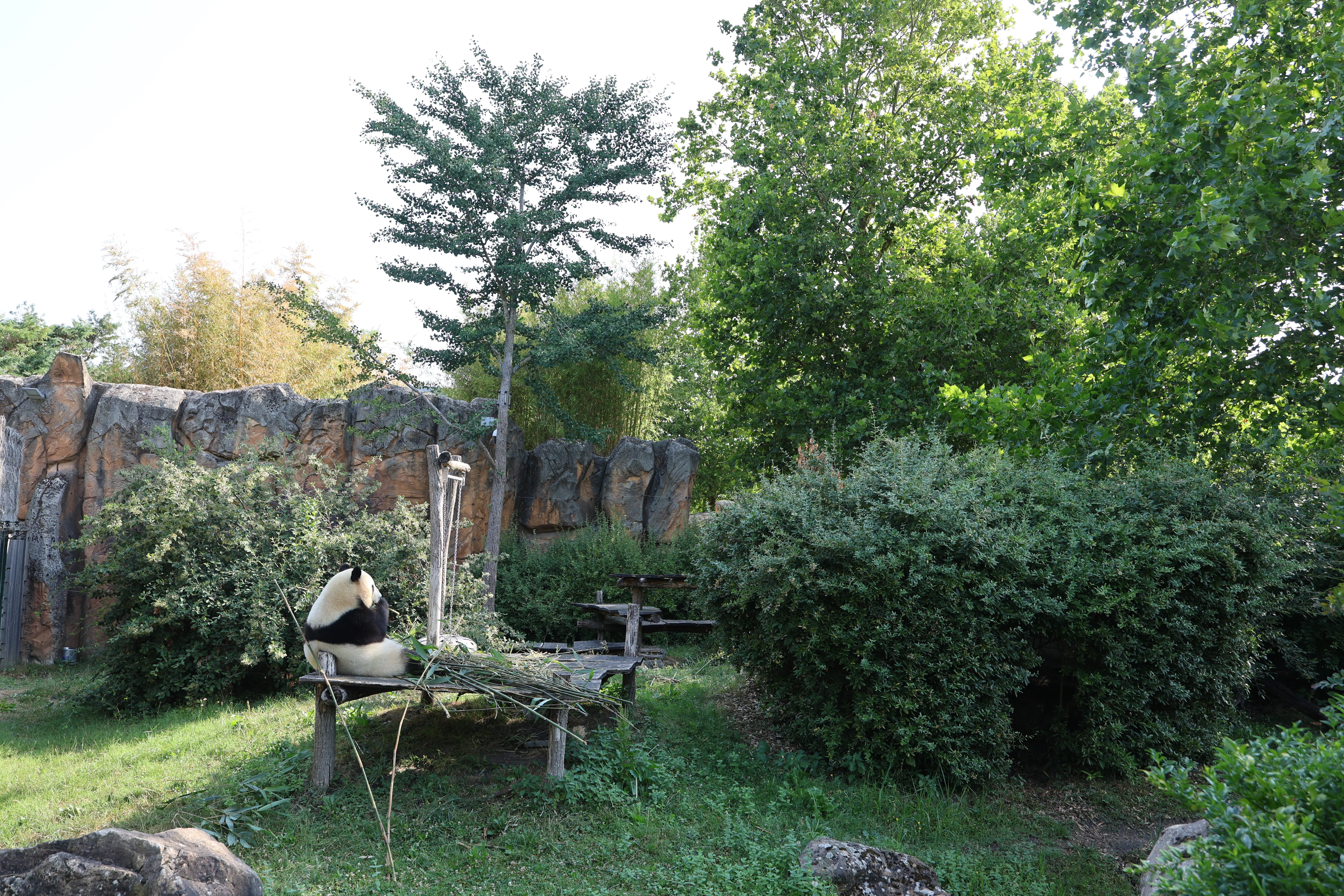 ZooParc de Beauval