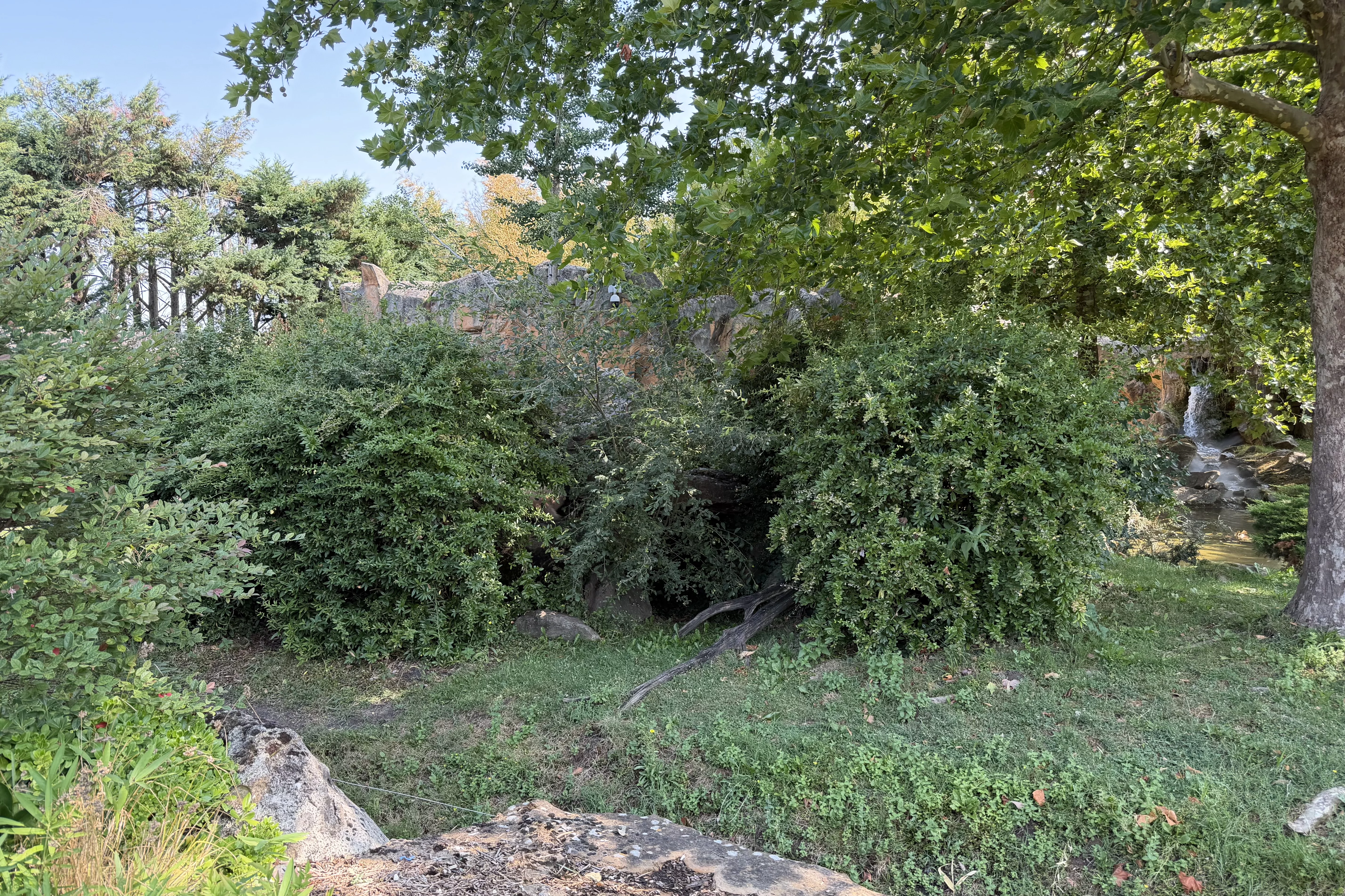 ZooParc de Beauval