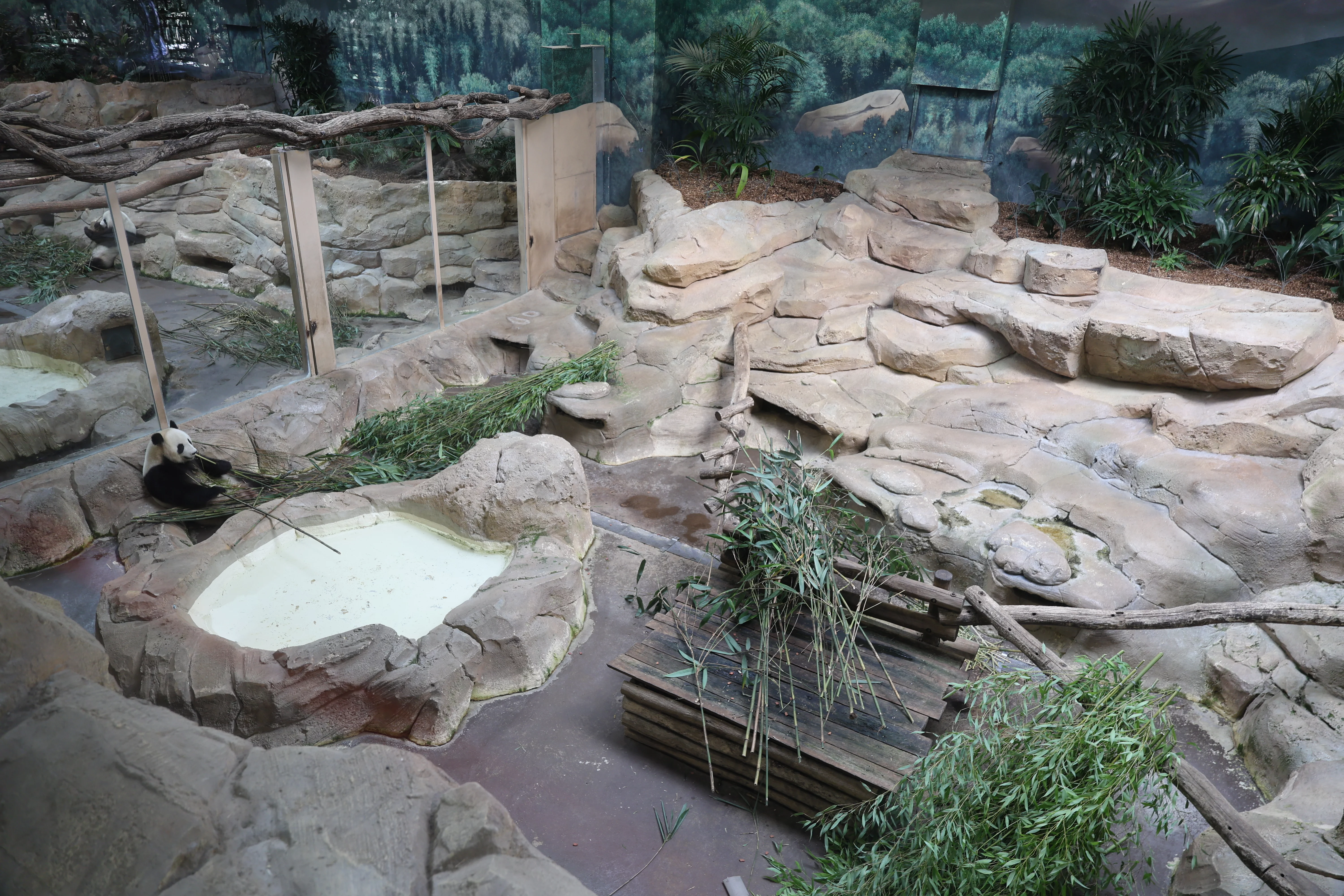 ZooParc de Beauval