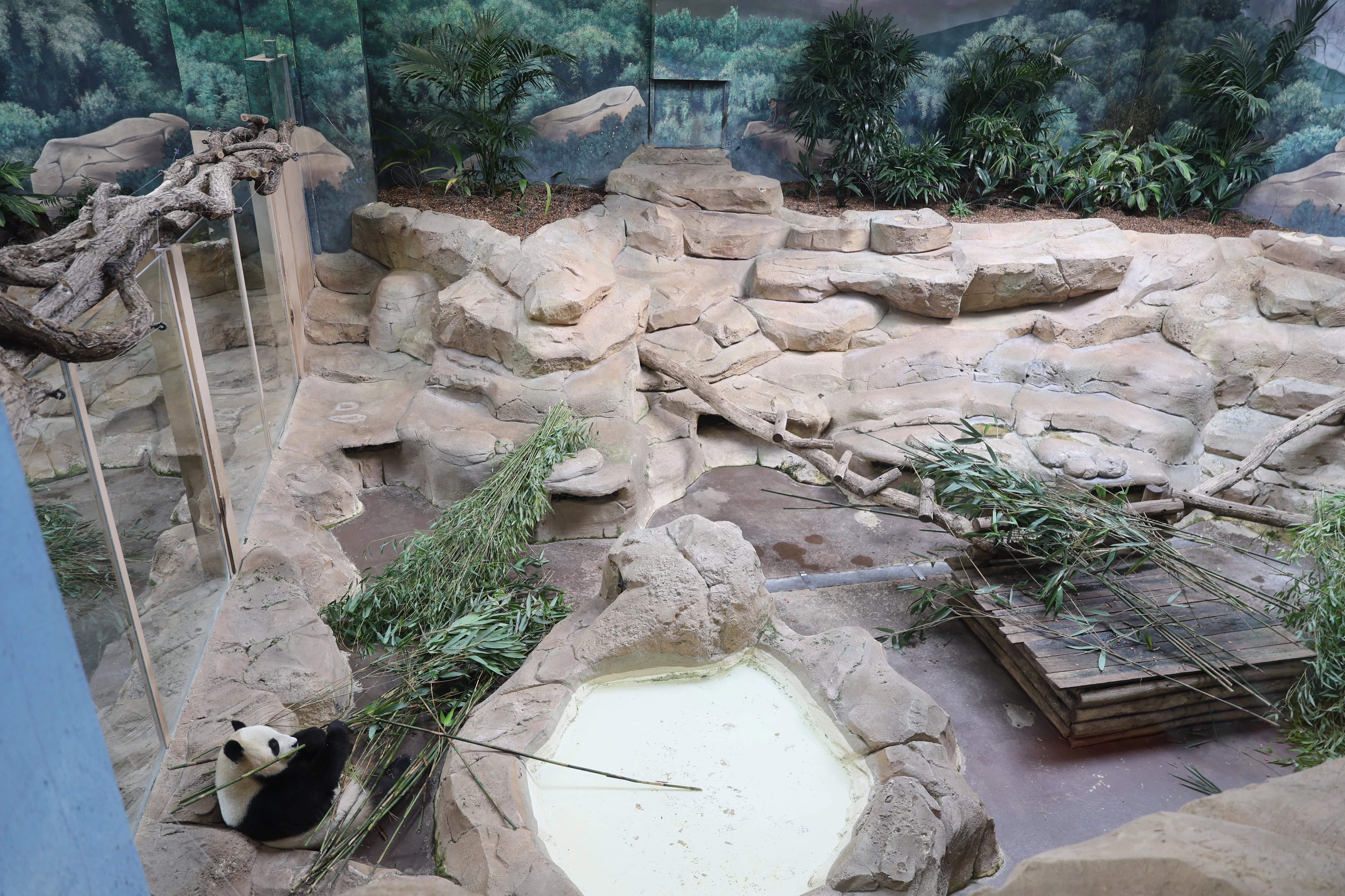 ZooParc de Beauval