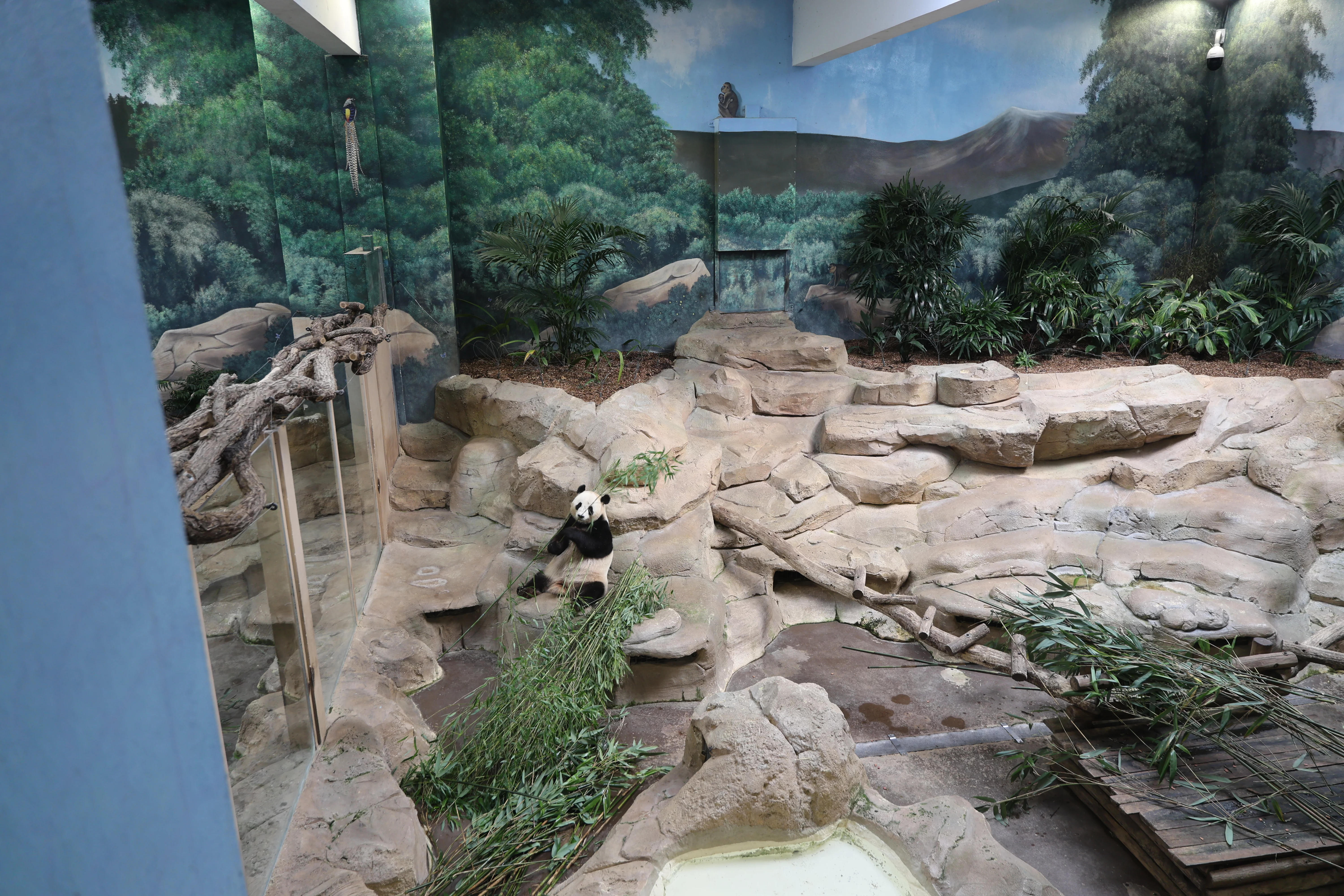 ZooParc de Beauval