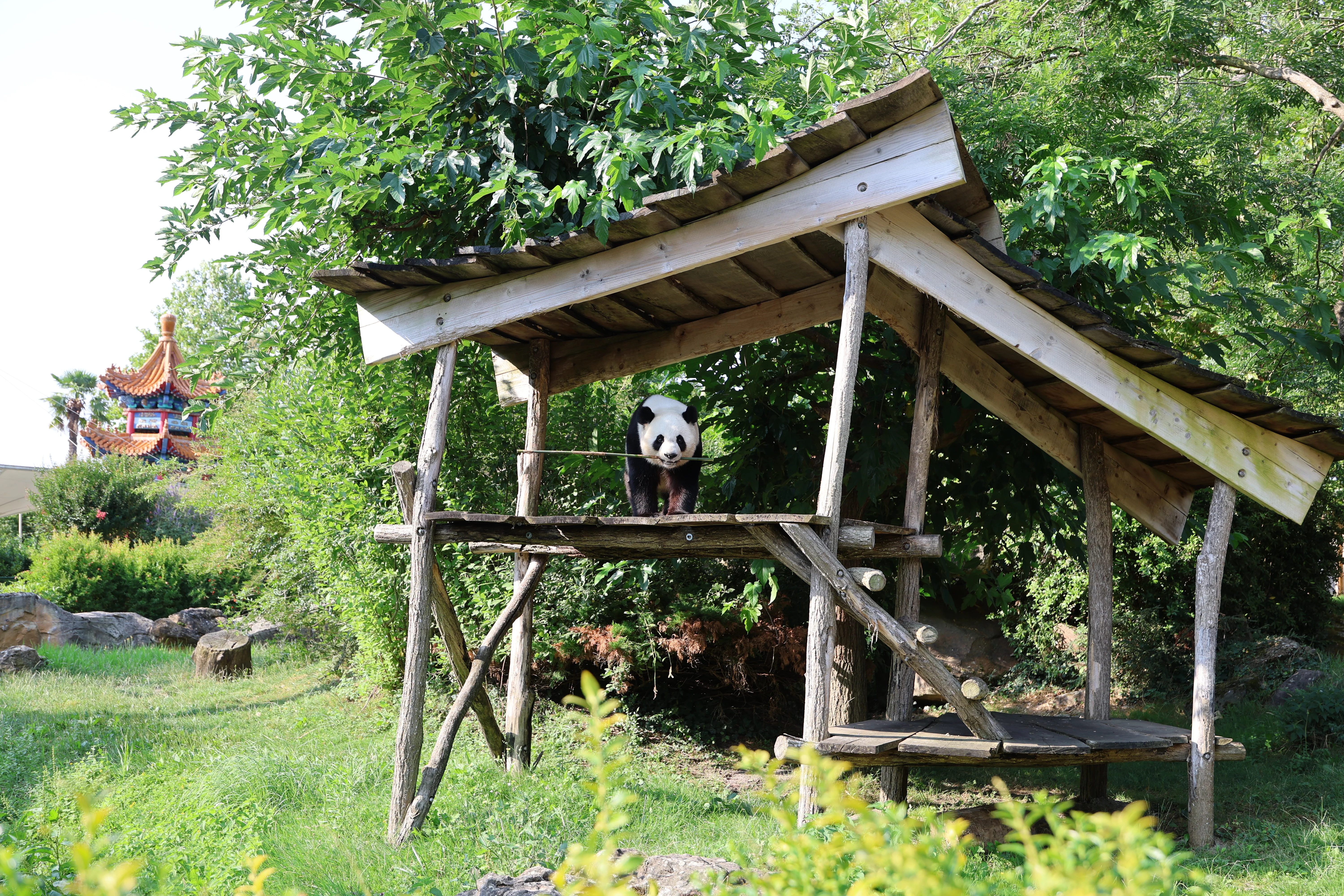 ZooParc de Beauval