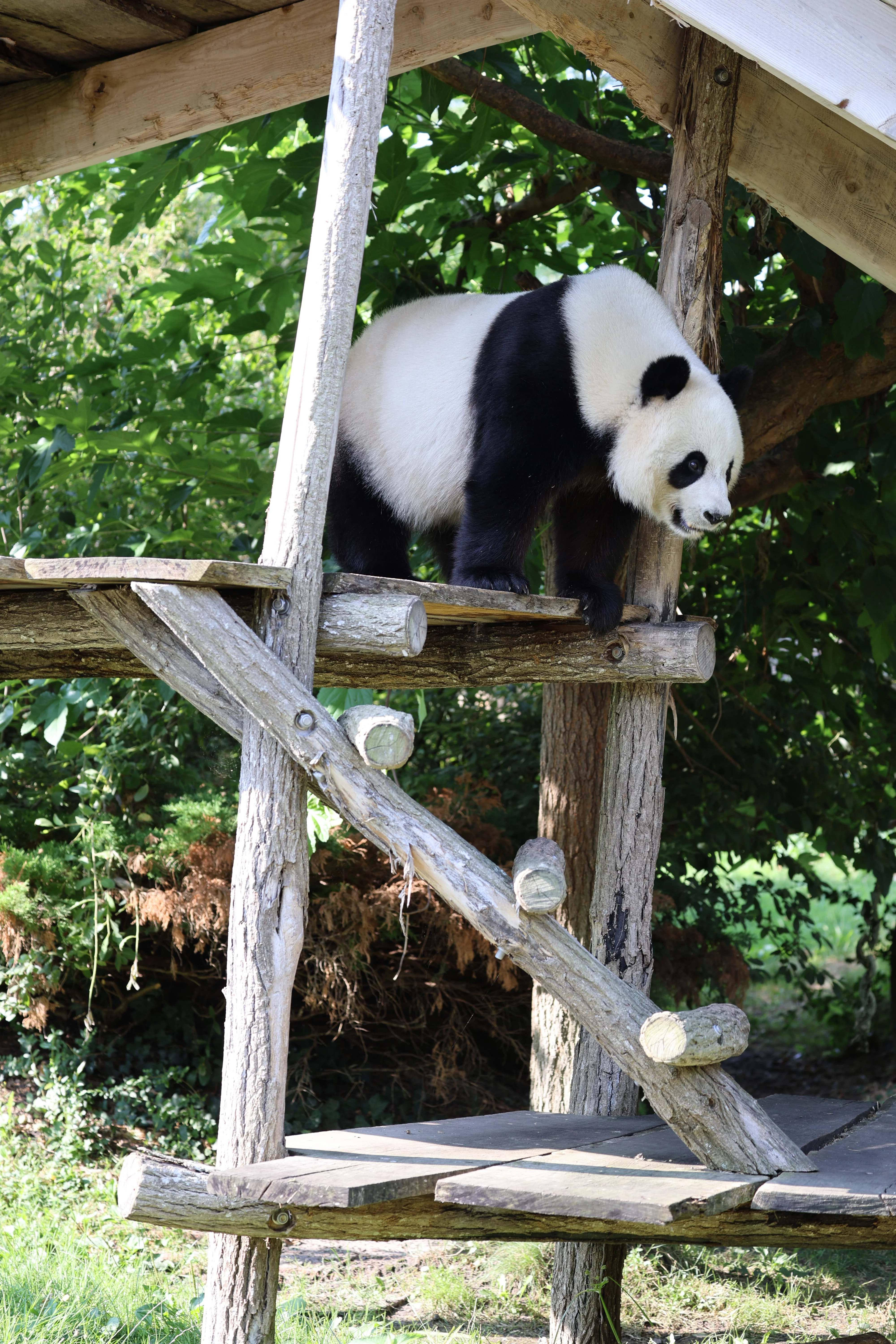 ZooParc de Beauval