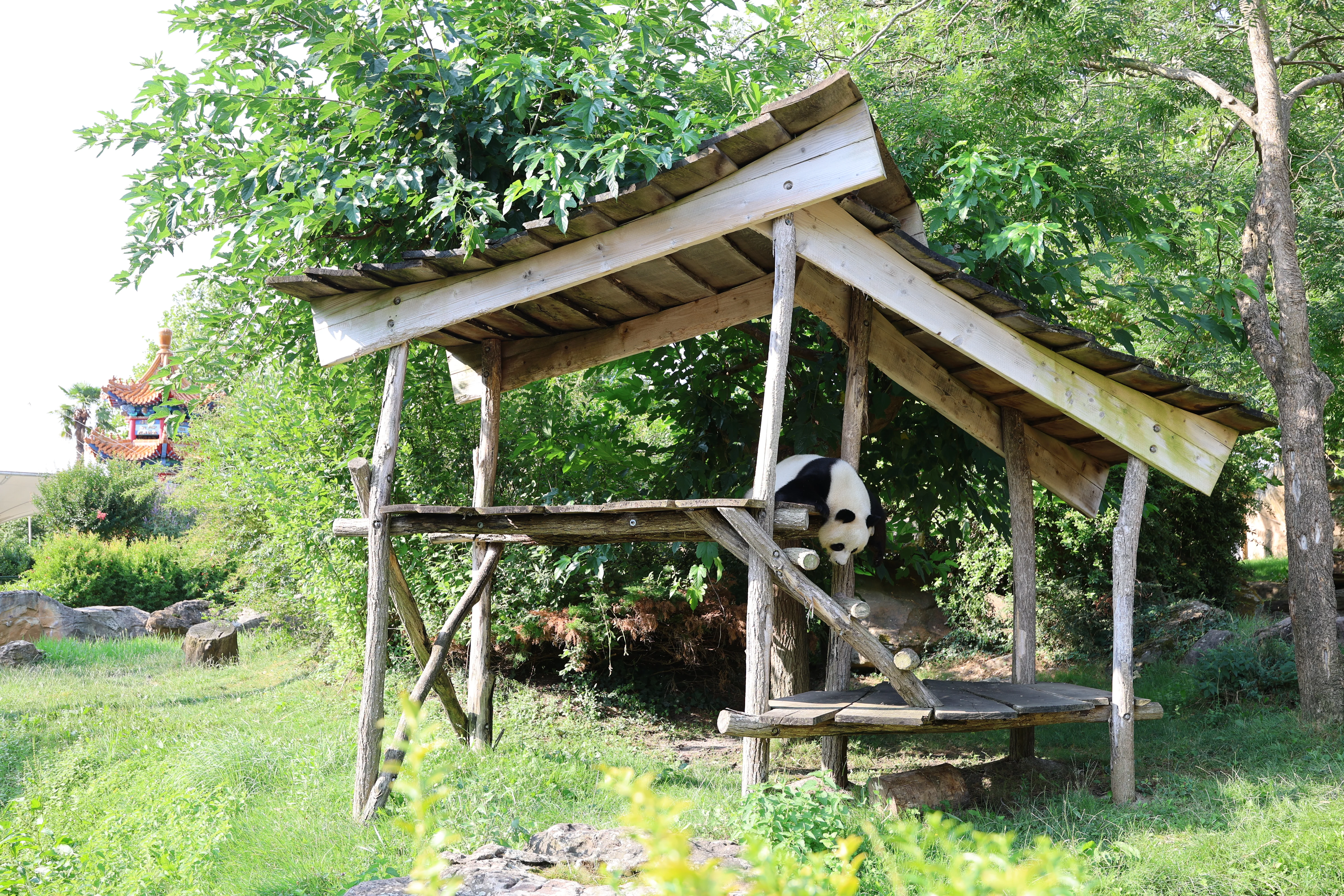 ZooParc de Beauval