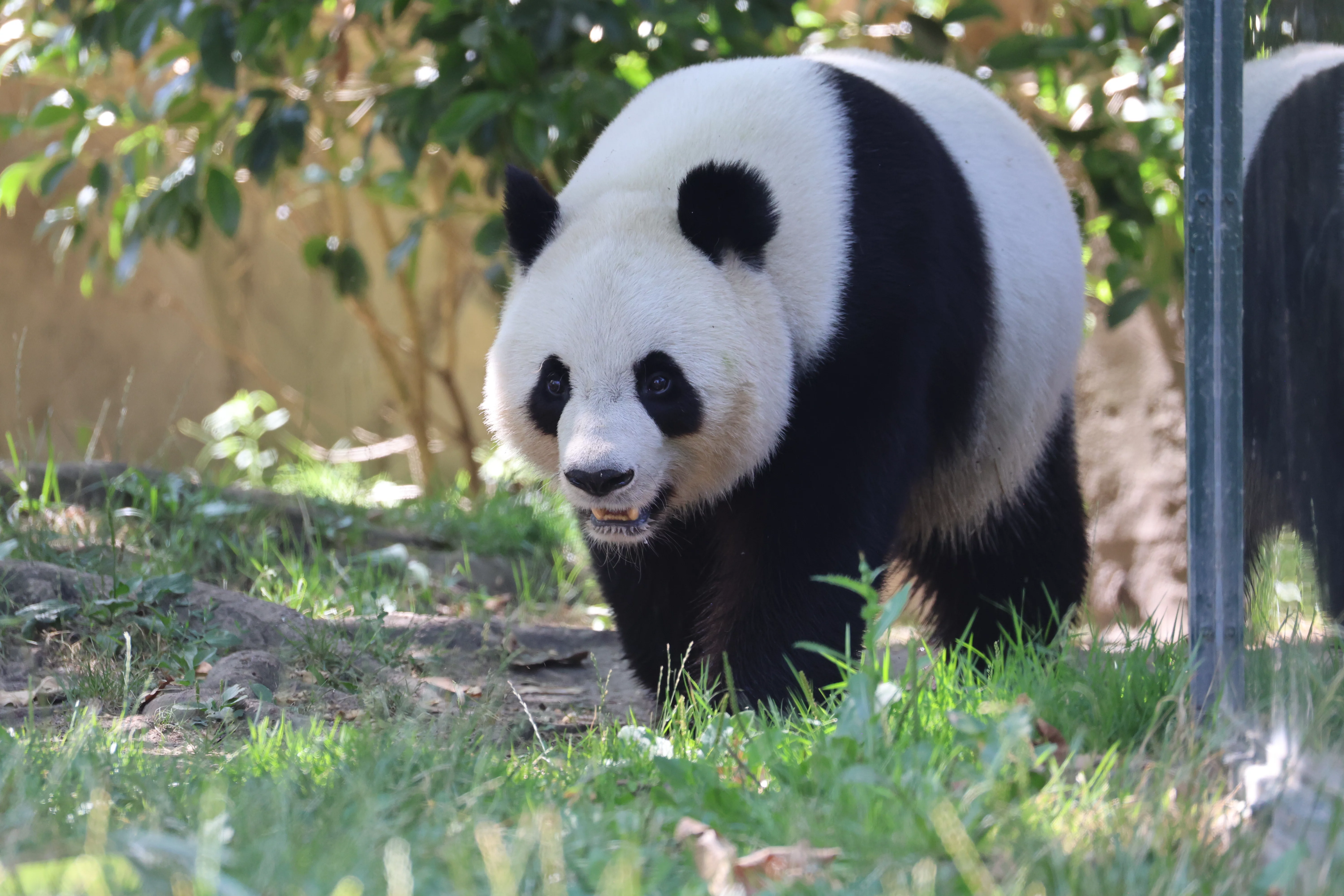 ZooParc de Beauval