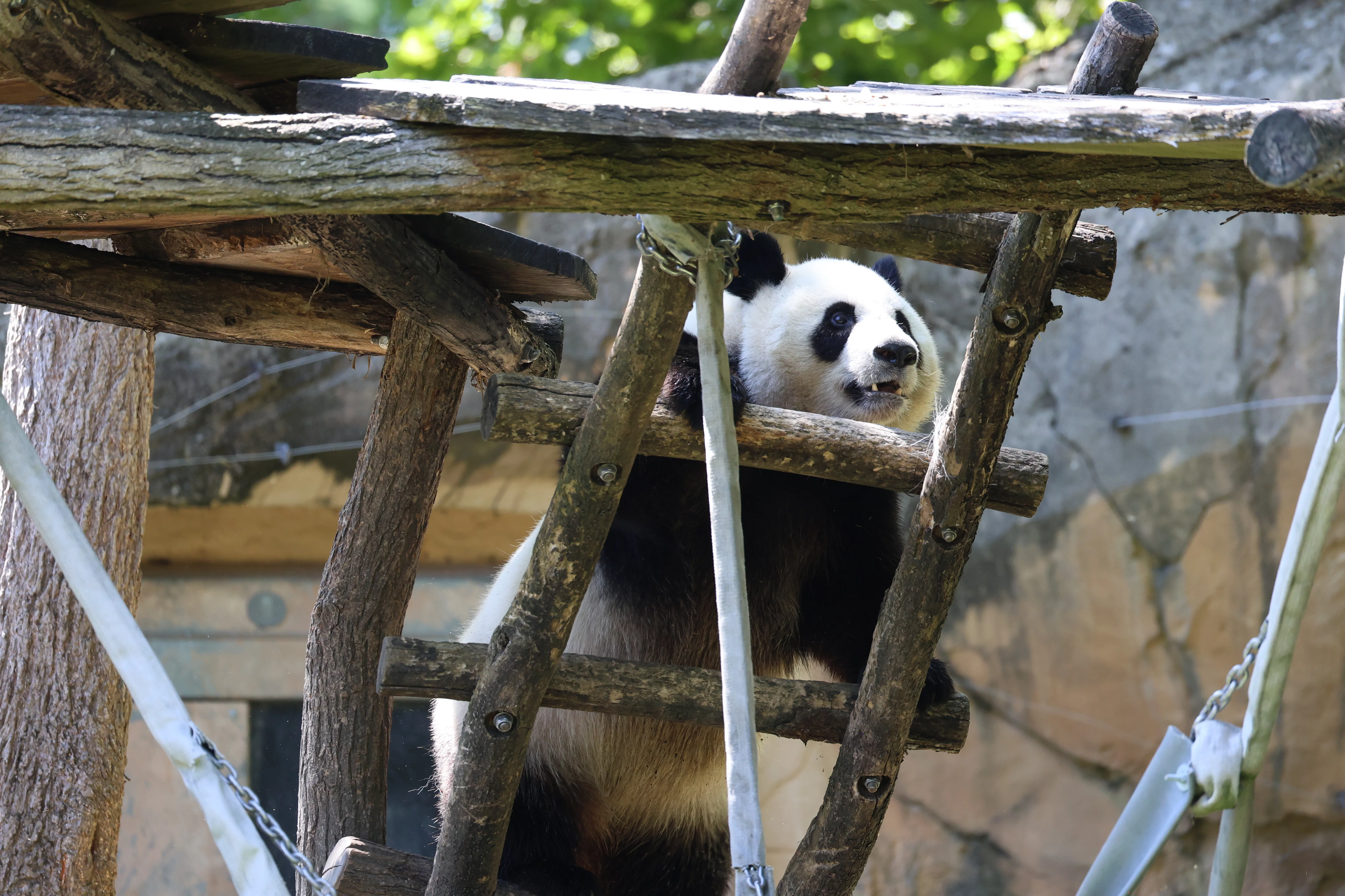 ZooParc de Beauval