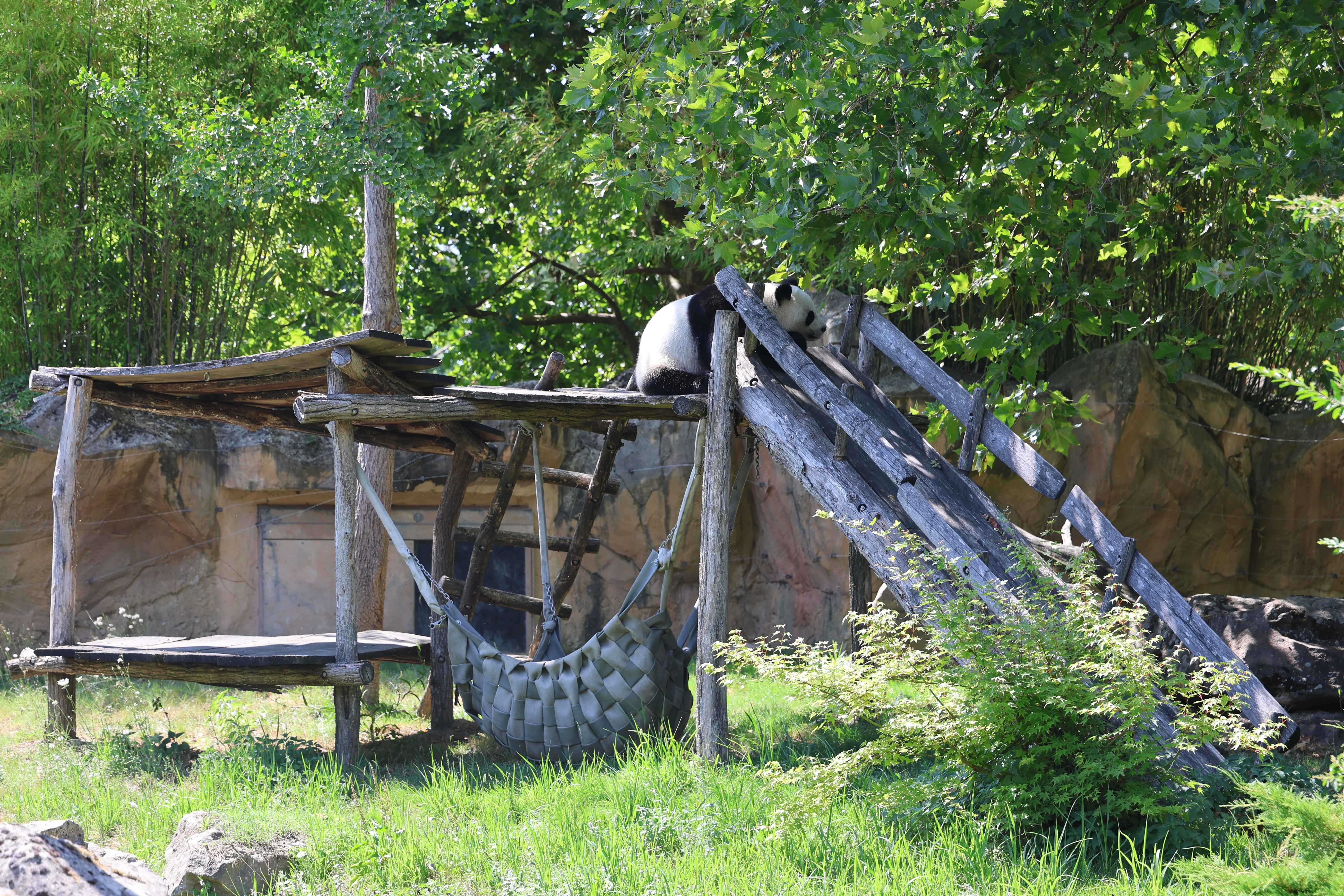 ZooParc de Beauval