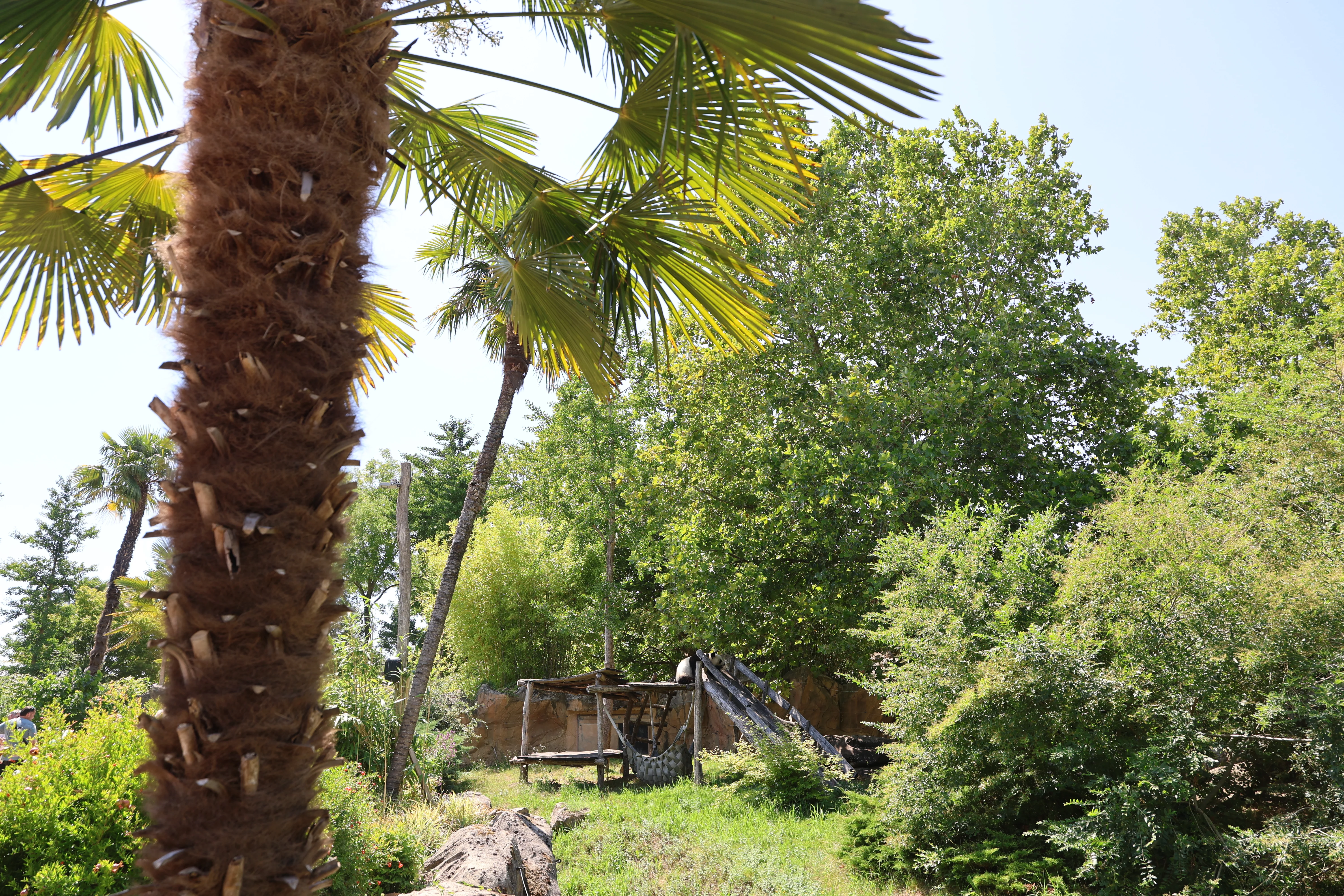 ZooParc de Beauval